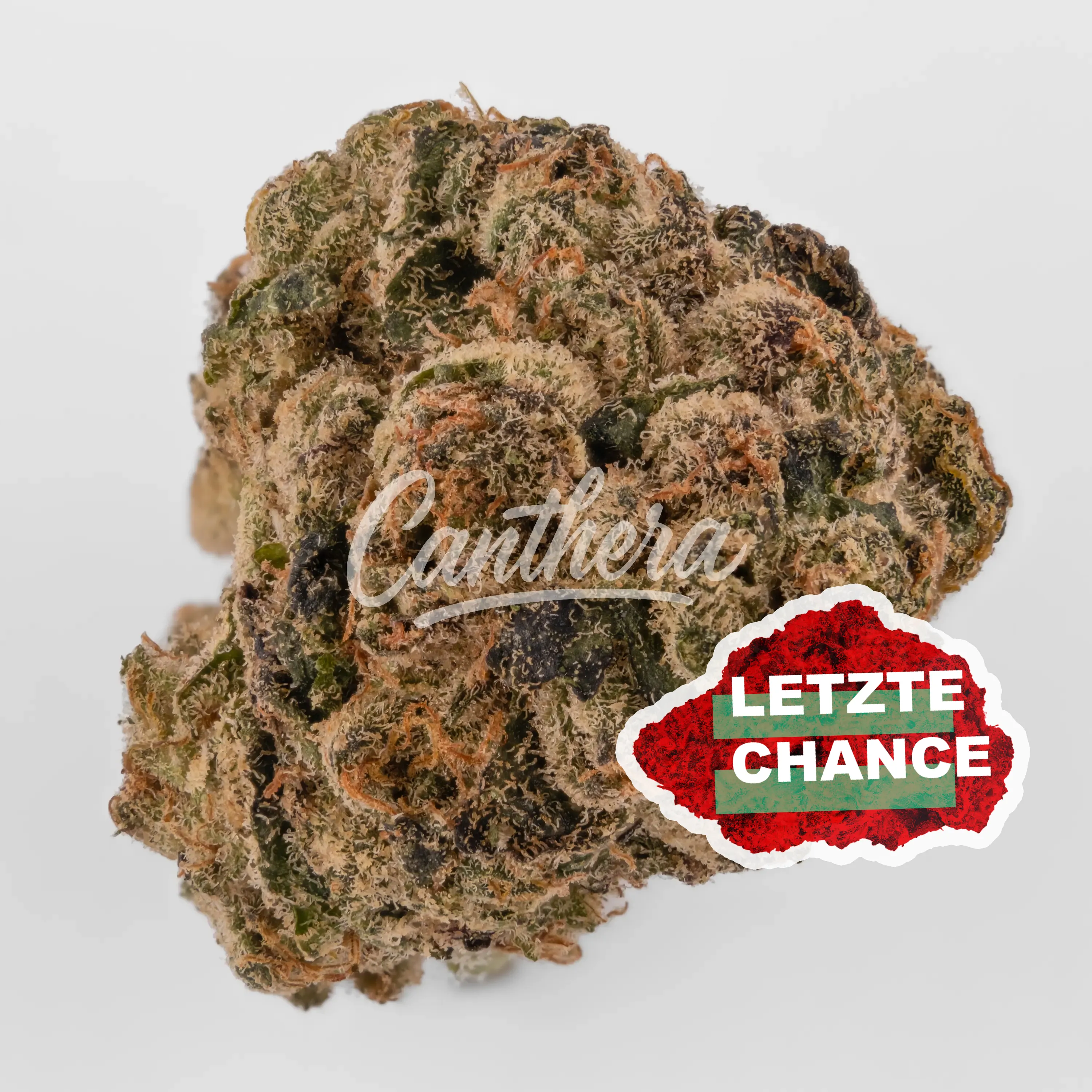 Demecan Craft 22/1 - Permanent Marker