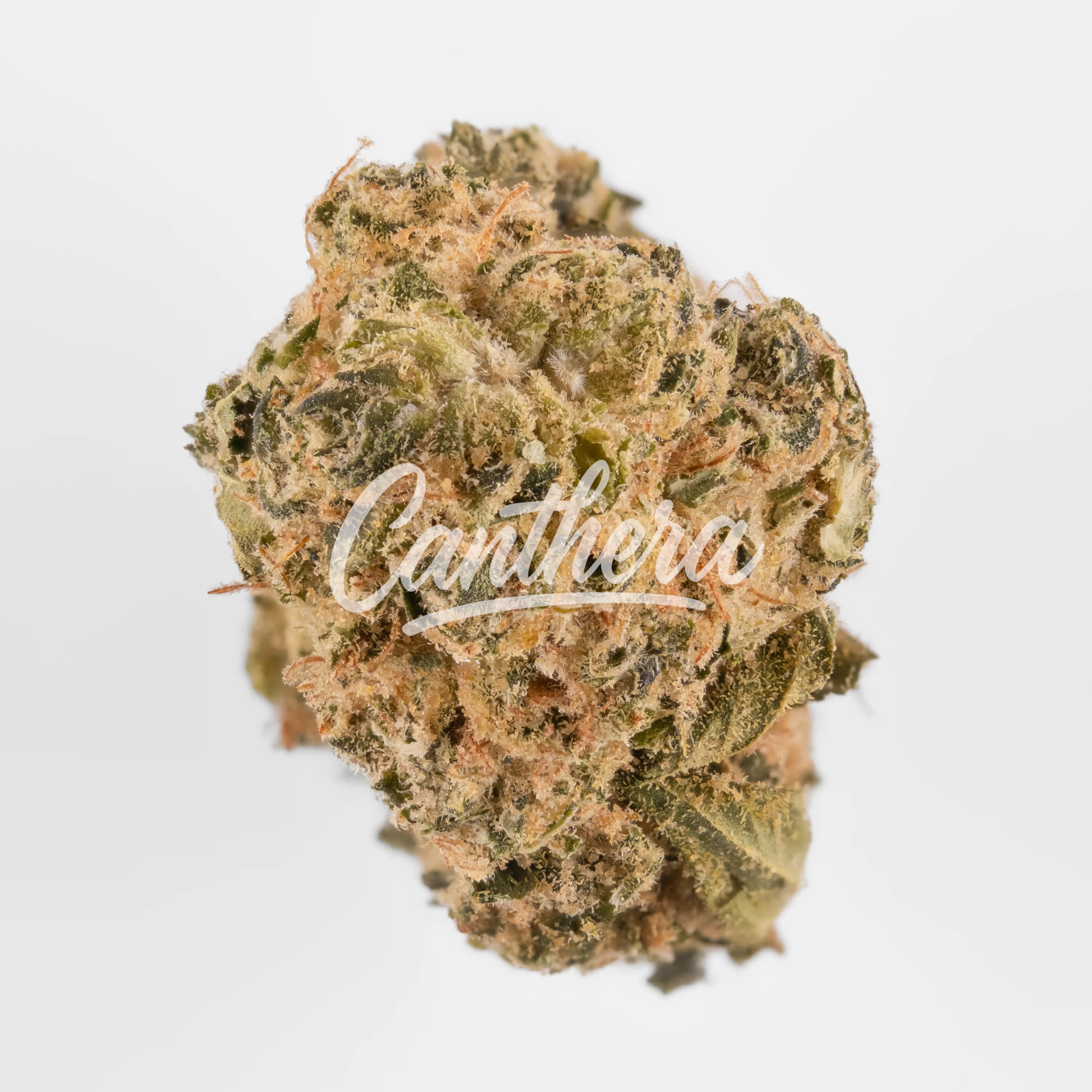 Peace Naturals 29/1 SC - Space Cake Peace Naturals 29/1 SC - Space Cake