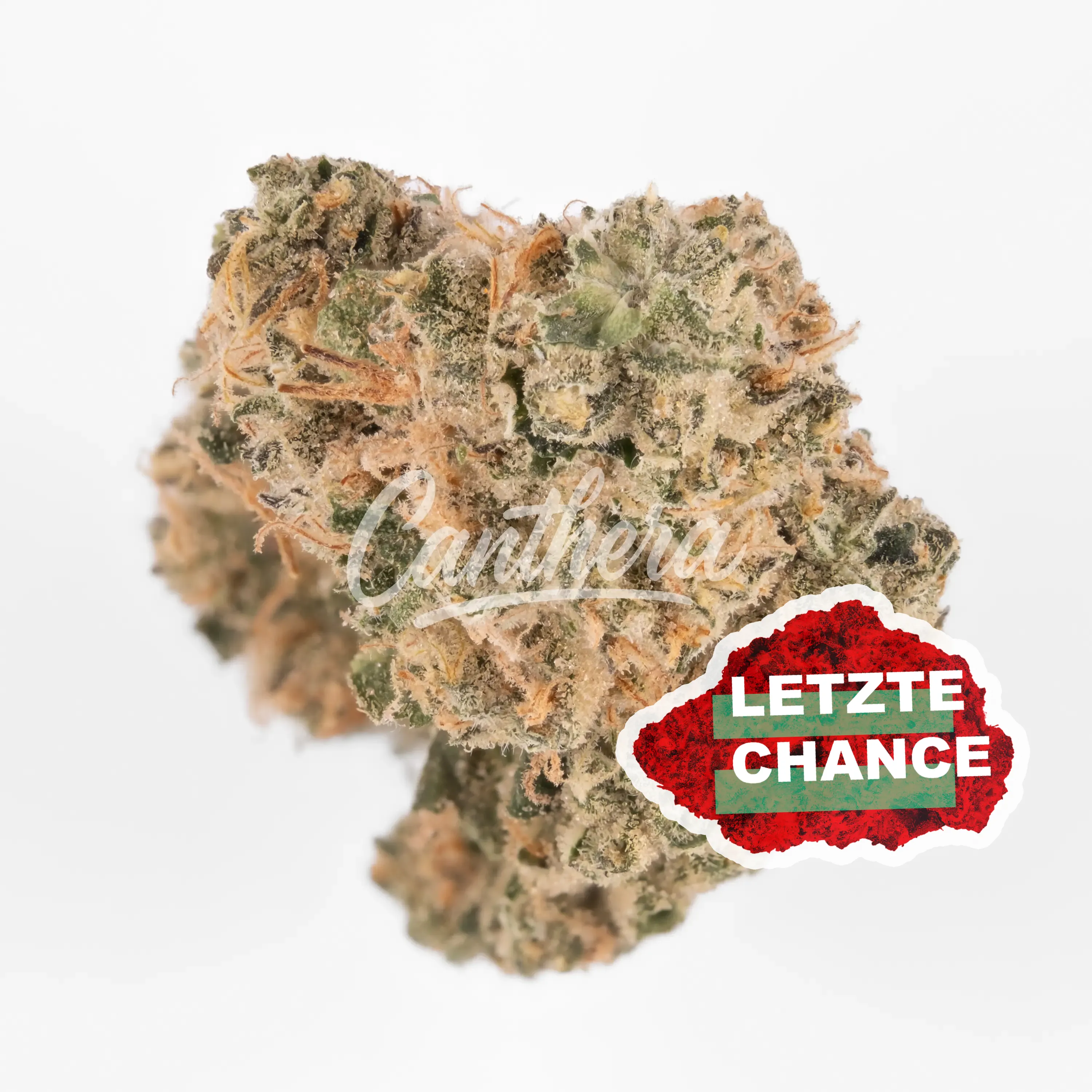 420 Evolution 27/1 CA GMO - GMO Cookies