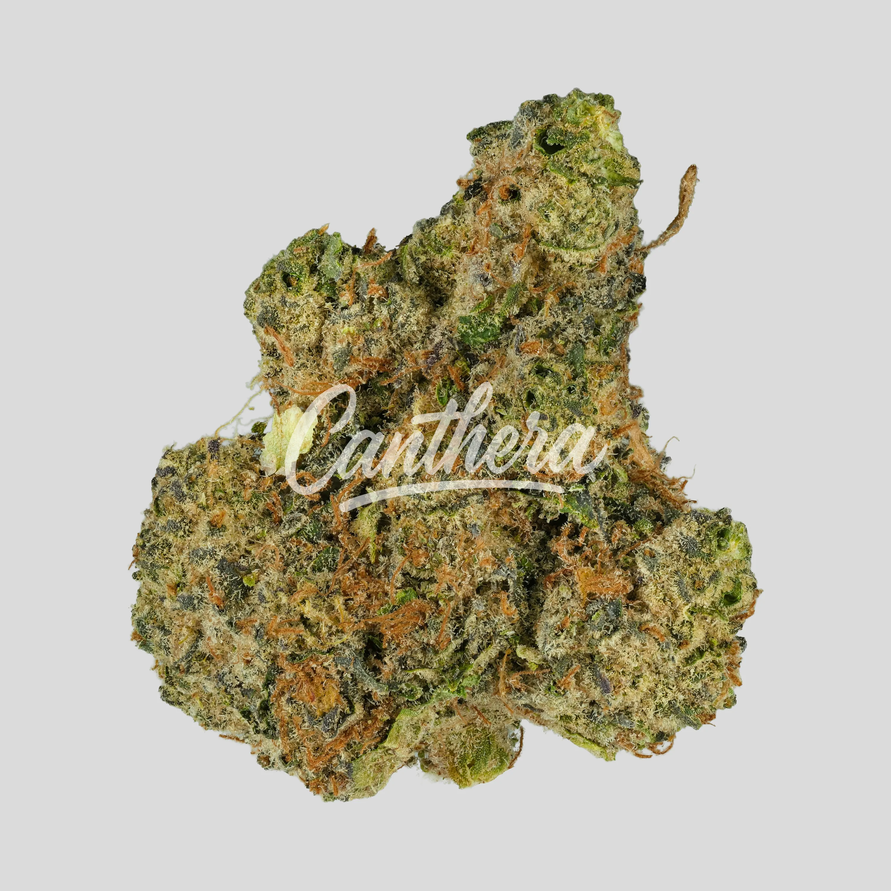 Cannamedical Indica Forte AU LKC - LA Kush Cake Cannamedical Indica Forte AU LKC - LA Kush Cake