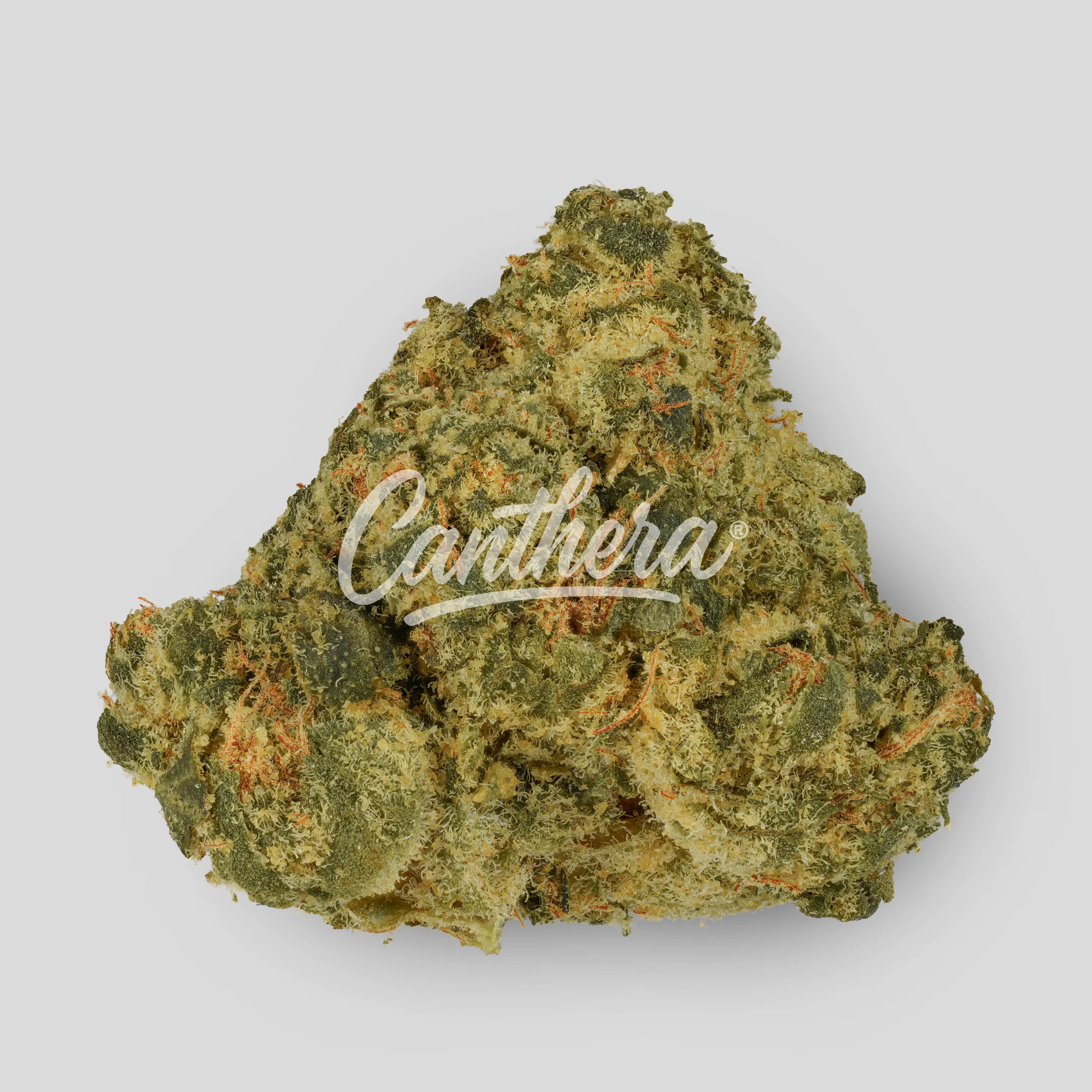 Ekolicious 27/1 GPG - Grape Goat