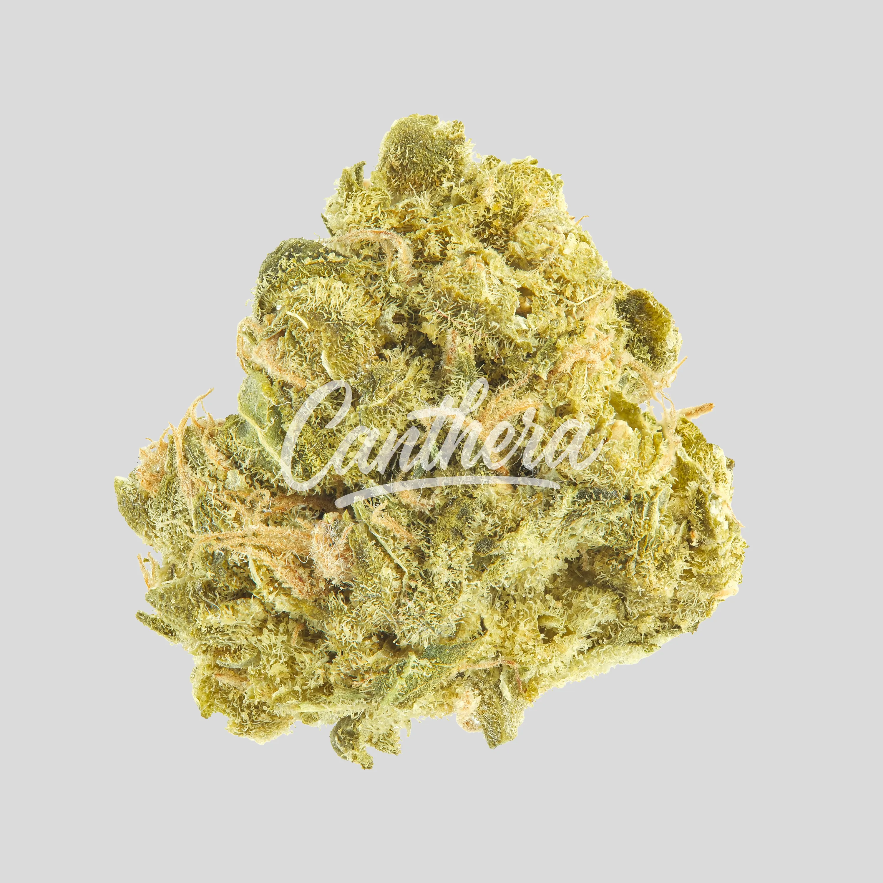 Enua 22/1 USR CA - Ultra Sour Enua 22/1 USR CA - Ultra Sour