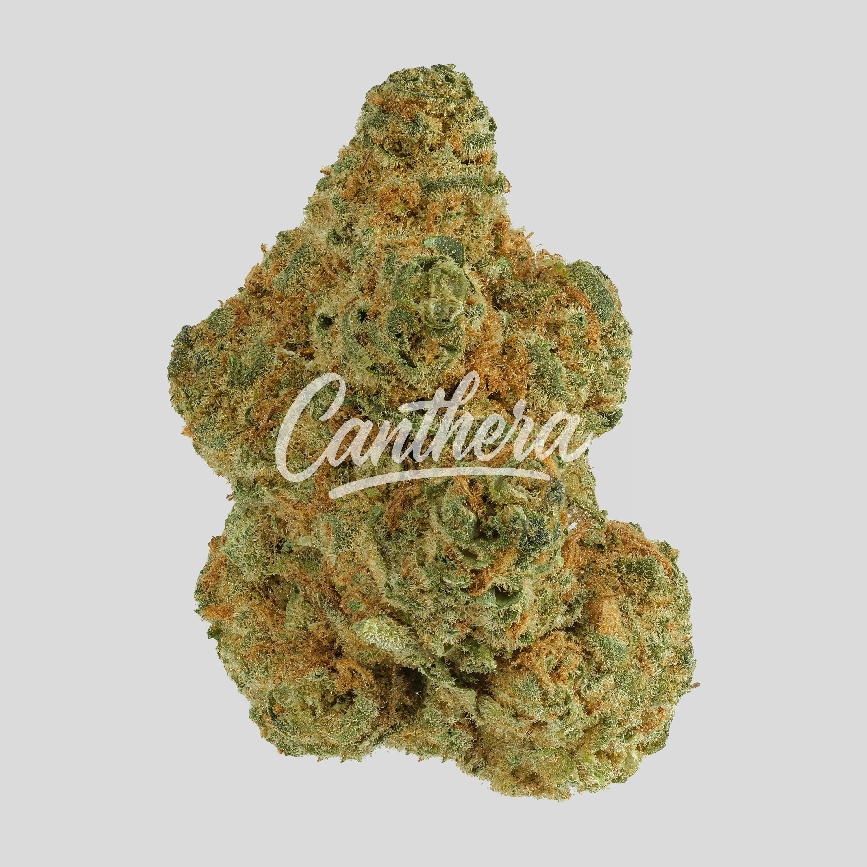 Cannamedical Indica Forte SM Sunset Serenity - Rainmaker Cannamedical Indica Forte SM Sunset Serenity - Rainmaker