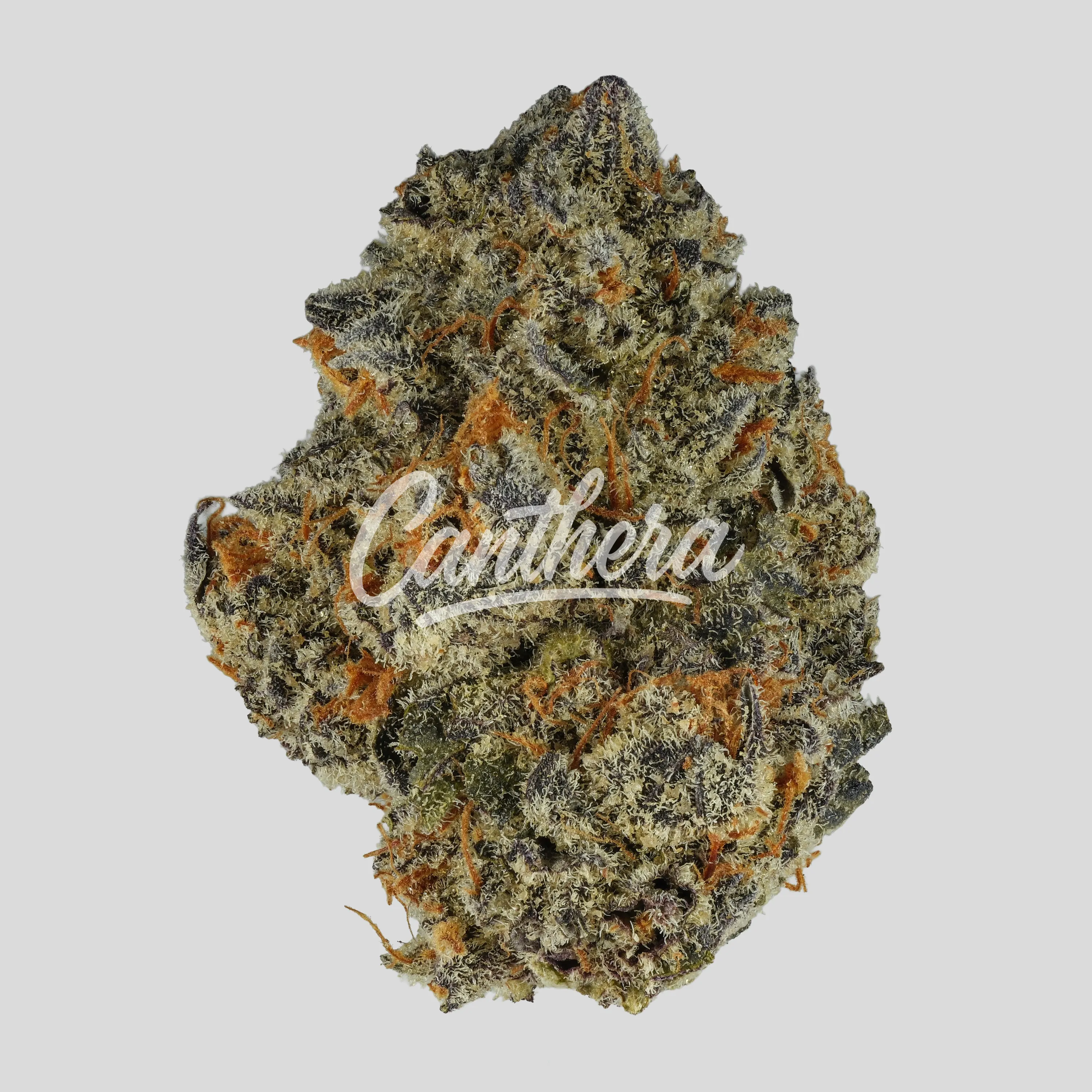 420 Compound 25/1 CA BER - Berlin Berries