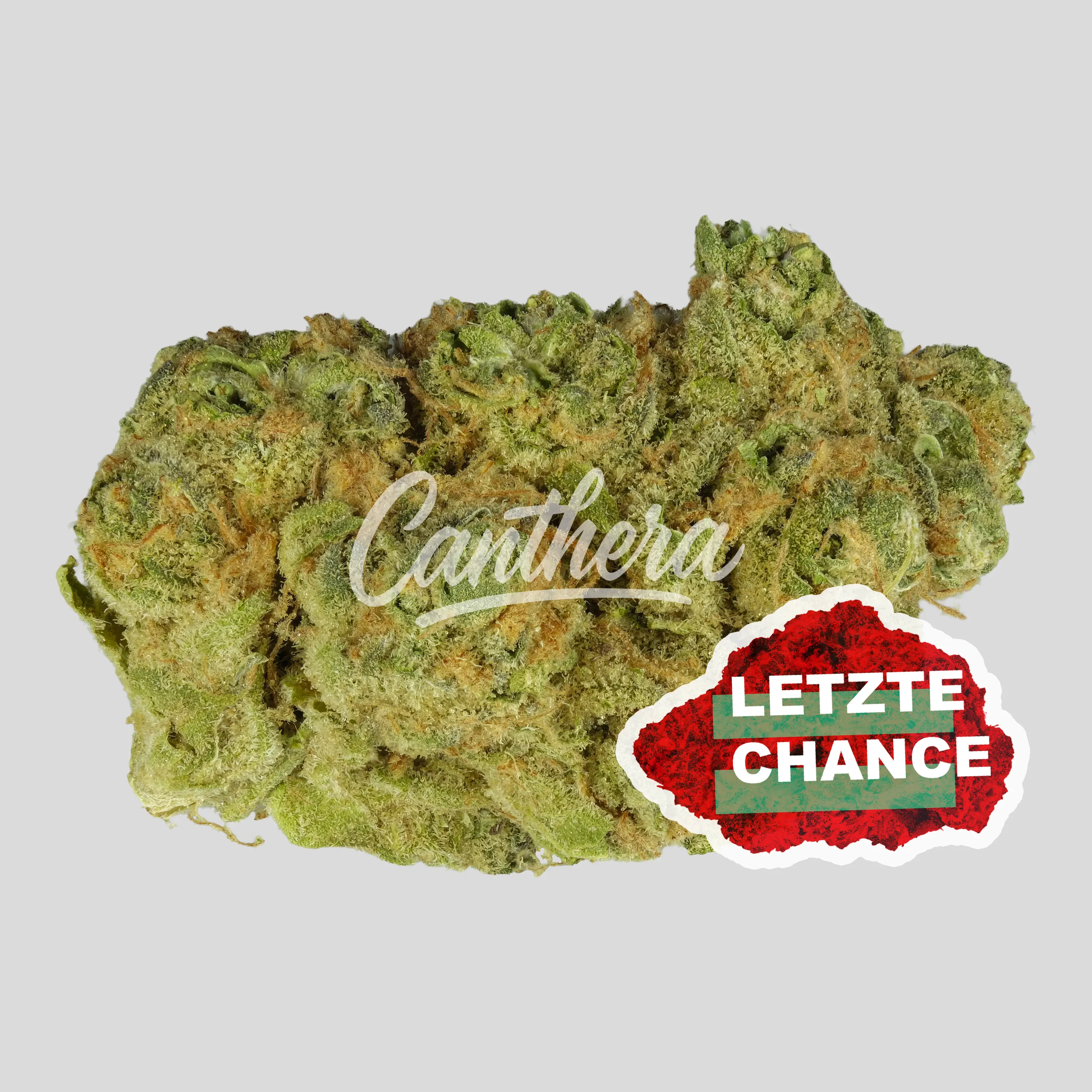 Medical Saints 24/1 HUB - Huckleberry Medical Saints 24/1 HUB - Huckleberry