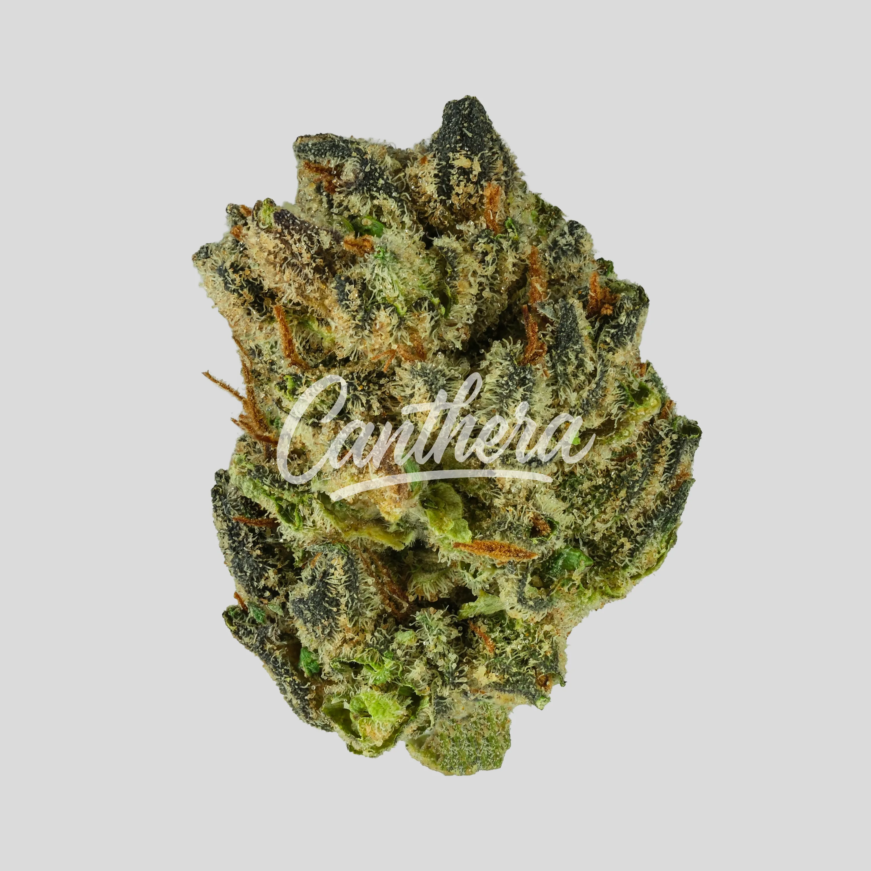 Sibanax GMO Zkittlez 18/1