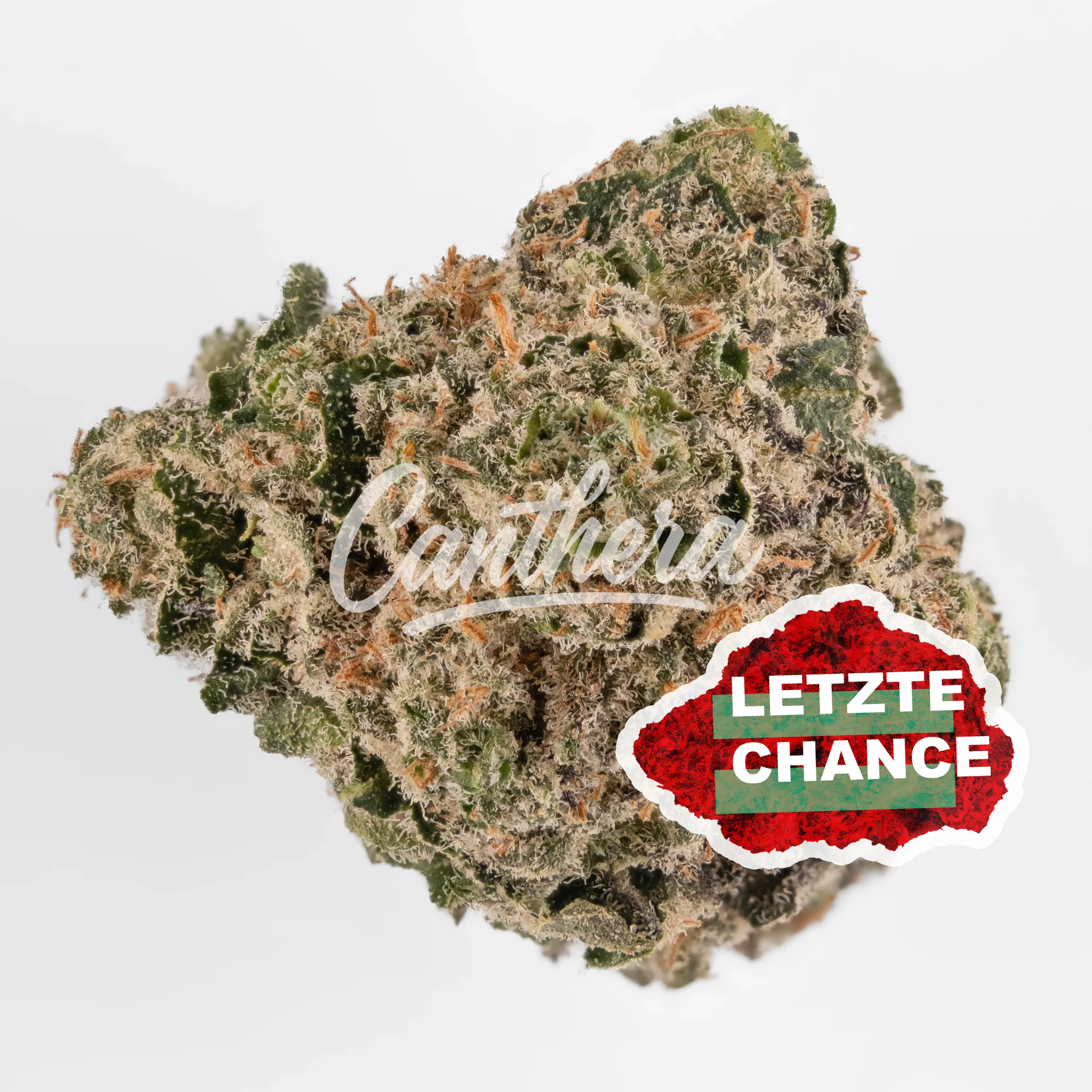 Botanics Velvet Twister 20/1 - Candy Cartel