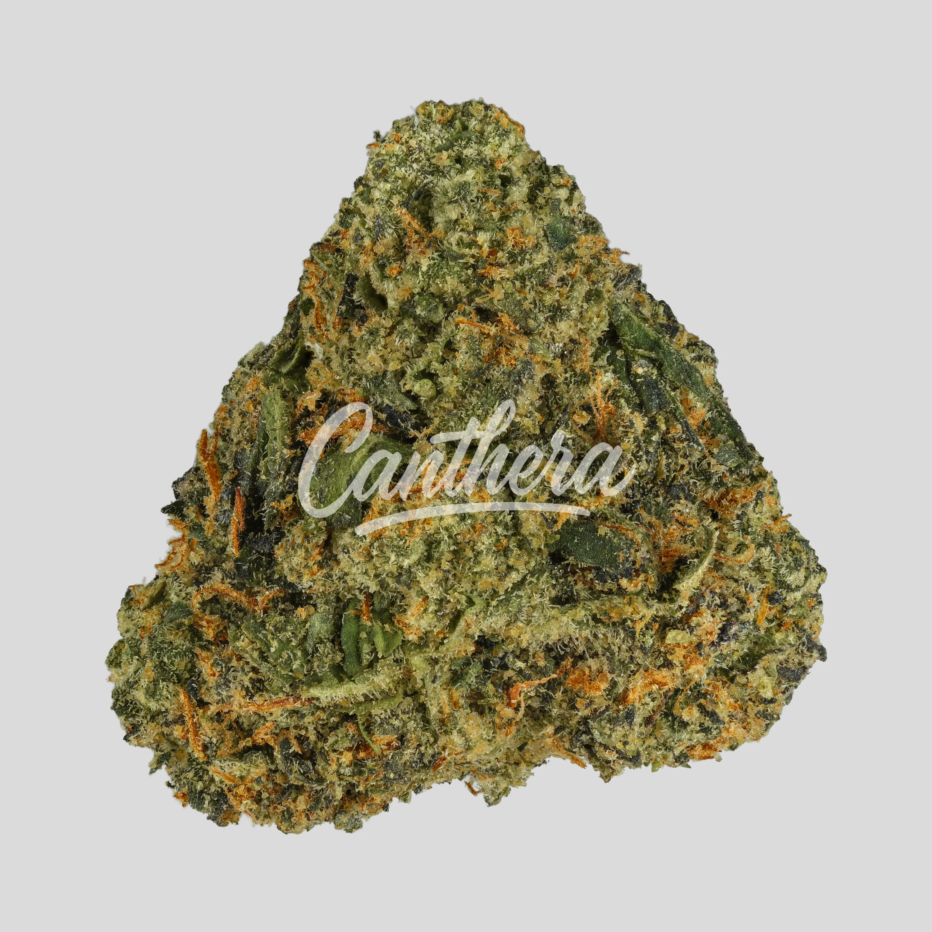 420 Compound 33/1 CA GAP - Gastro Pop 420 Compound 33/1 CA GAP - Gastro Pop