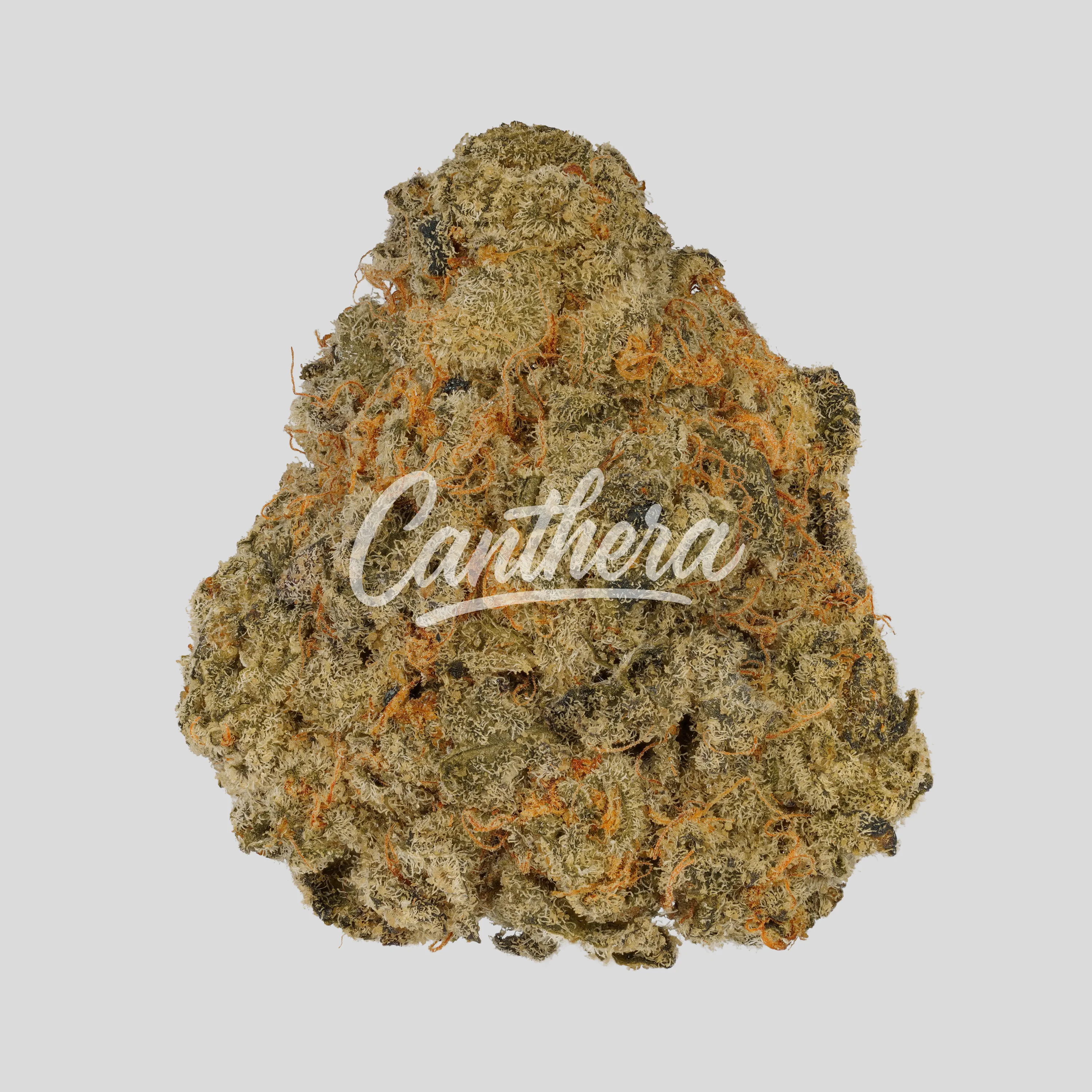Cookies 2.0 28/1 - Bubblegumz