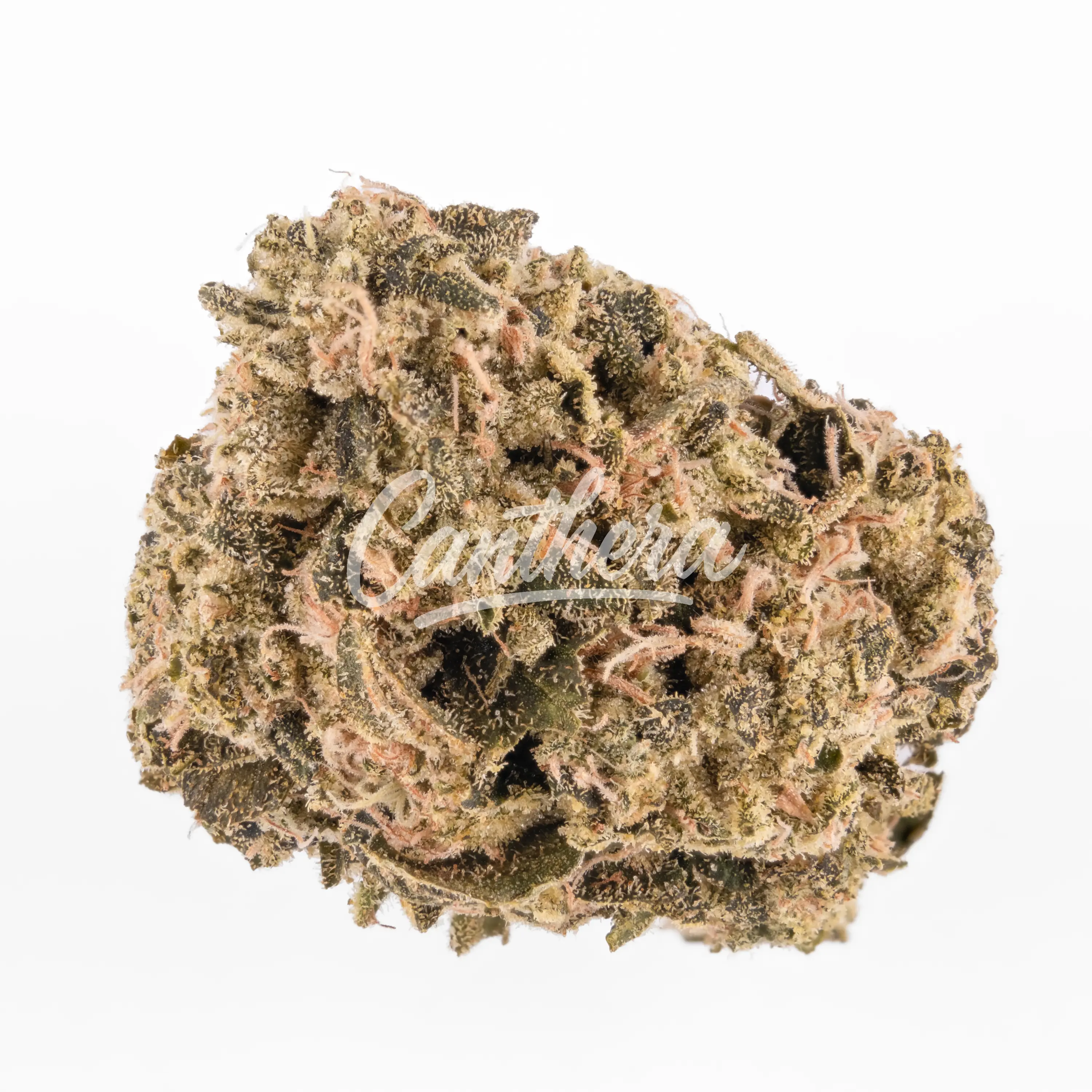 enua 25/1 HWB CA - Head with Bang enua 25/1 HWB CA - Head with Bang