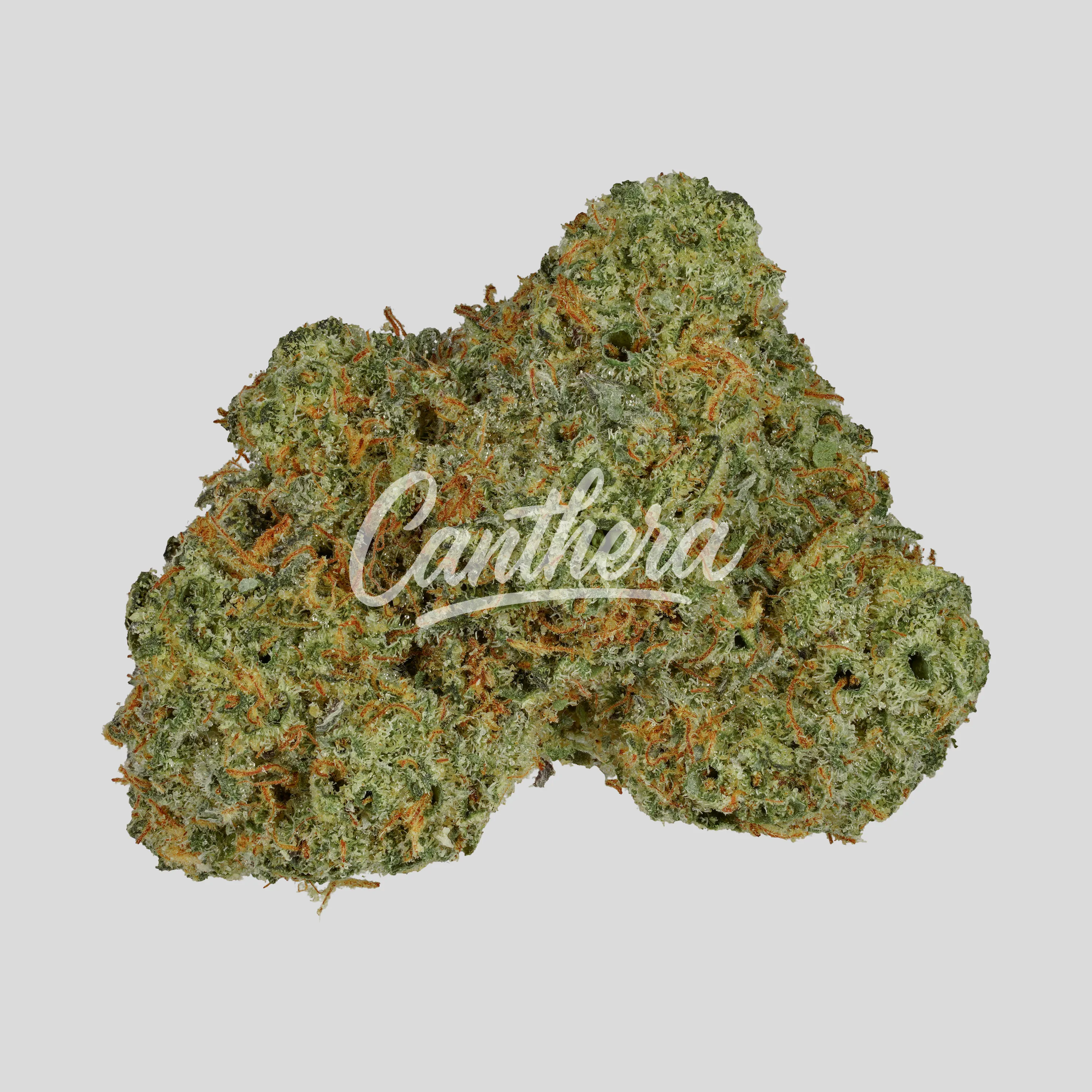 THC AKUT 25 RS11 - Rainbow Sherbert #11 THC AKUT 25 RS11 - Rainbow Sherbert #11