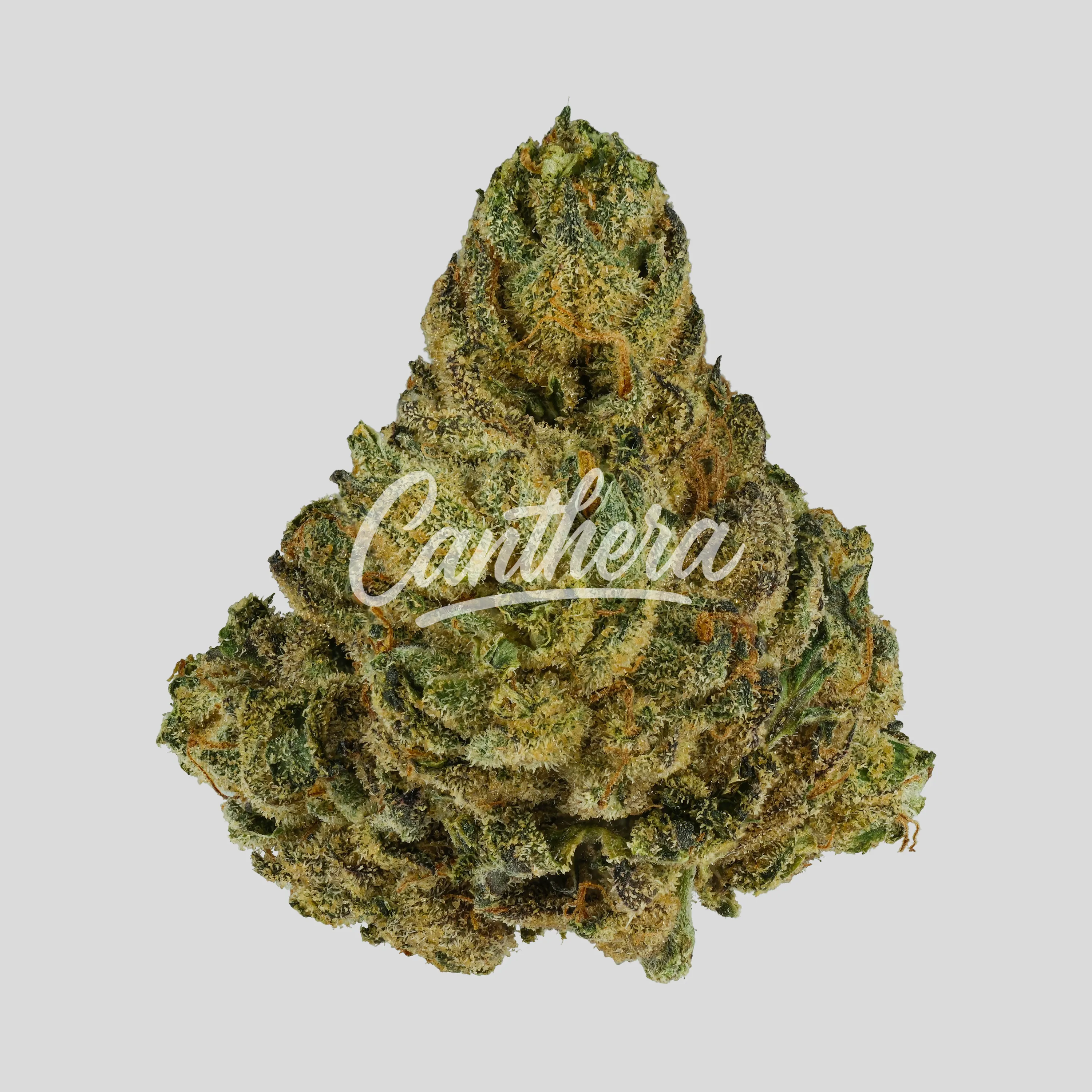 Demecan Core ICC 20:01 - Ice Cream Cake Demecan Core ICC 20:01 - Ice Cream Cake