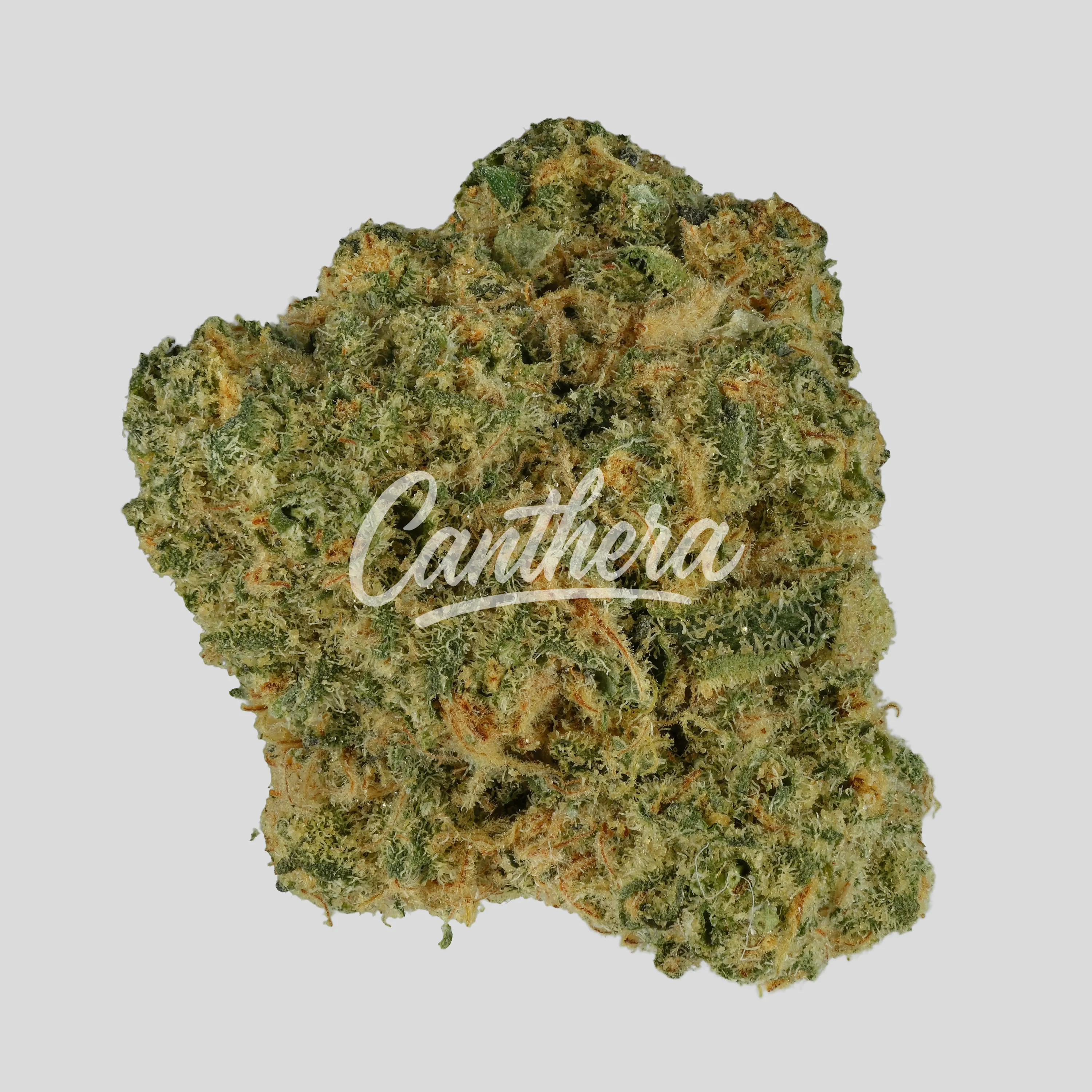 187 Cannabisflower RS11 THC 25 - Rainbow Sherbert #11