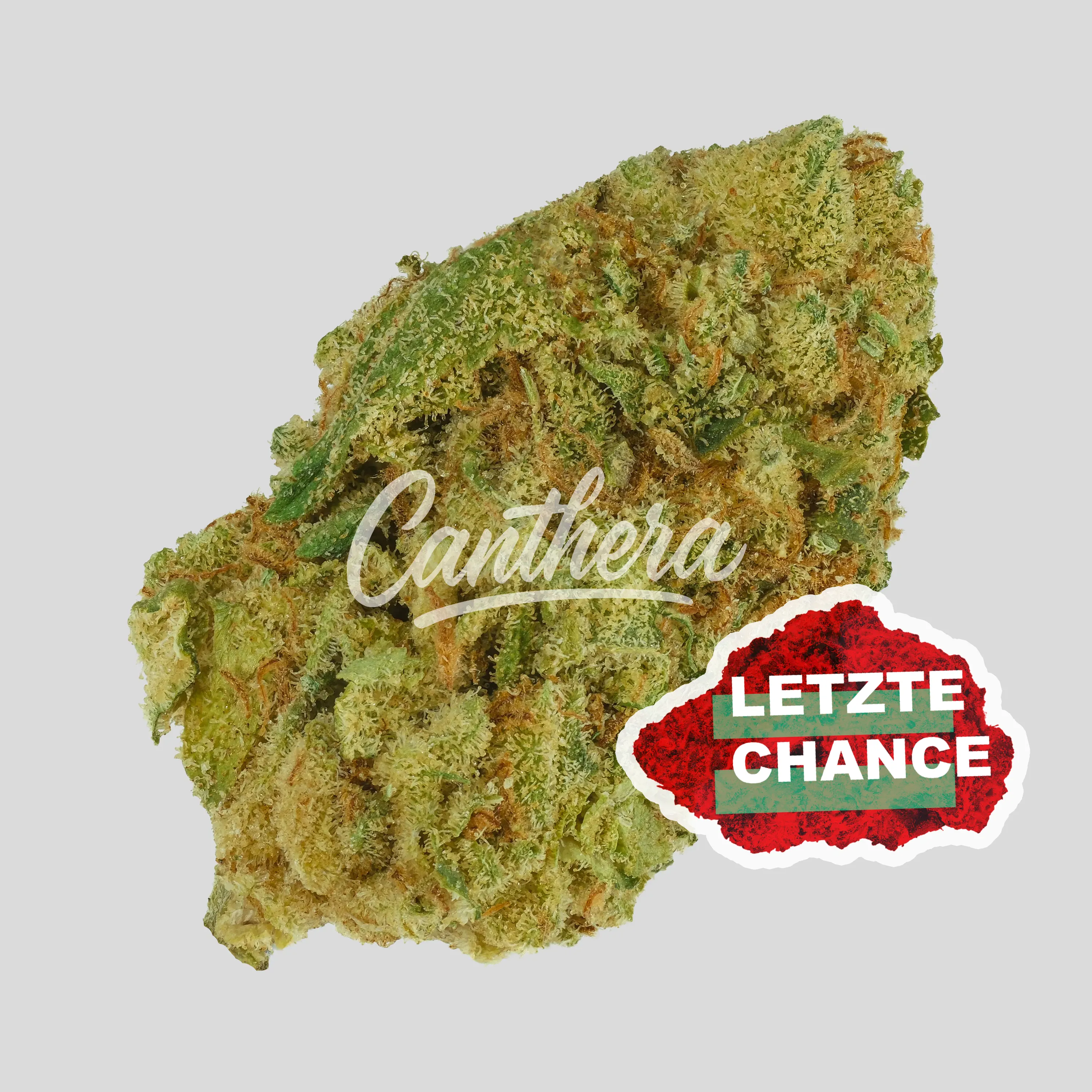 Enua 25/1 MB CA - Mega Breath