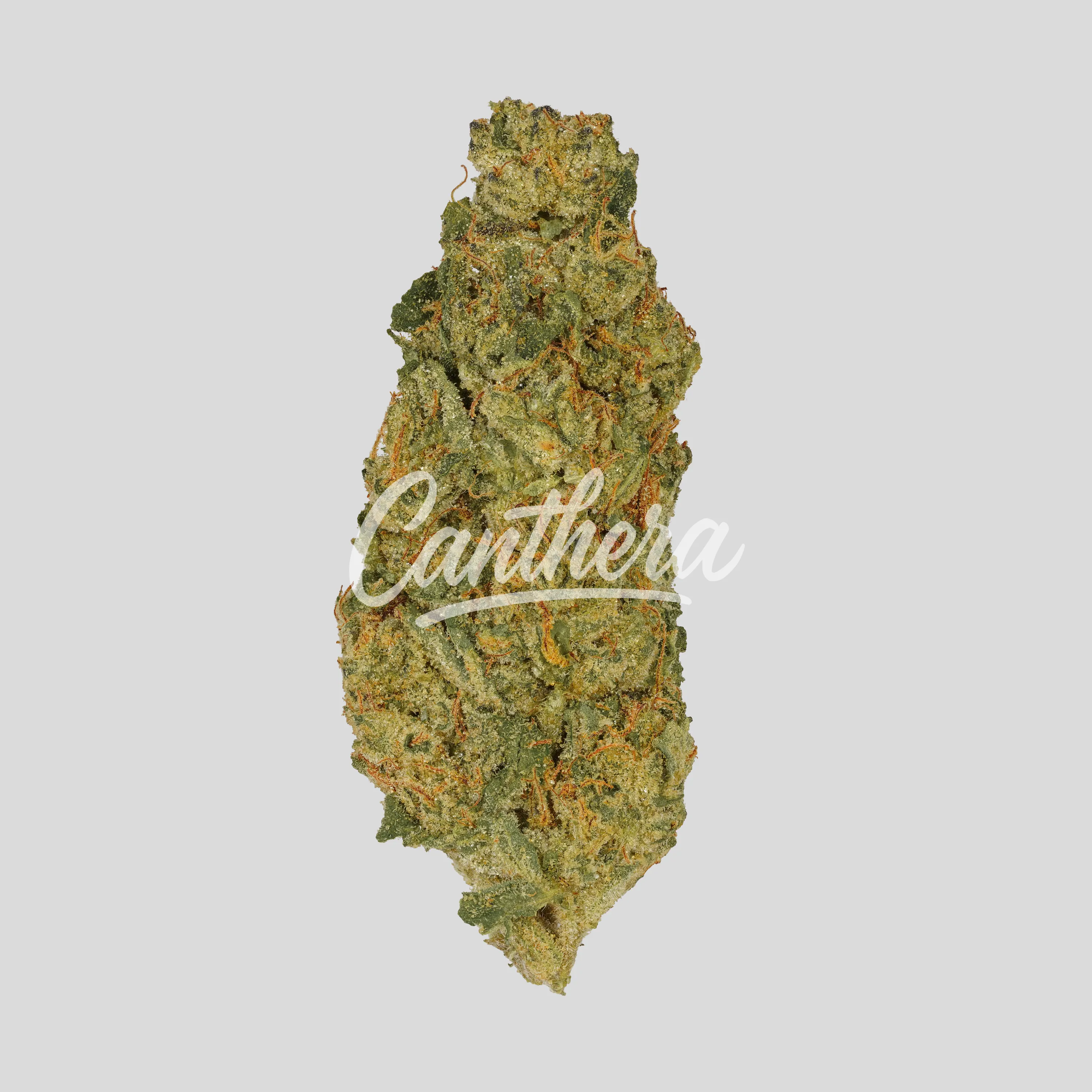 Luana Kush 28/1 - Hippie Kush