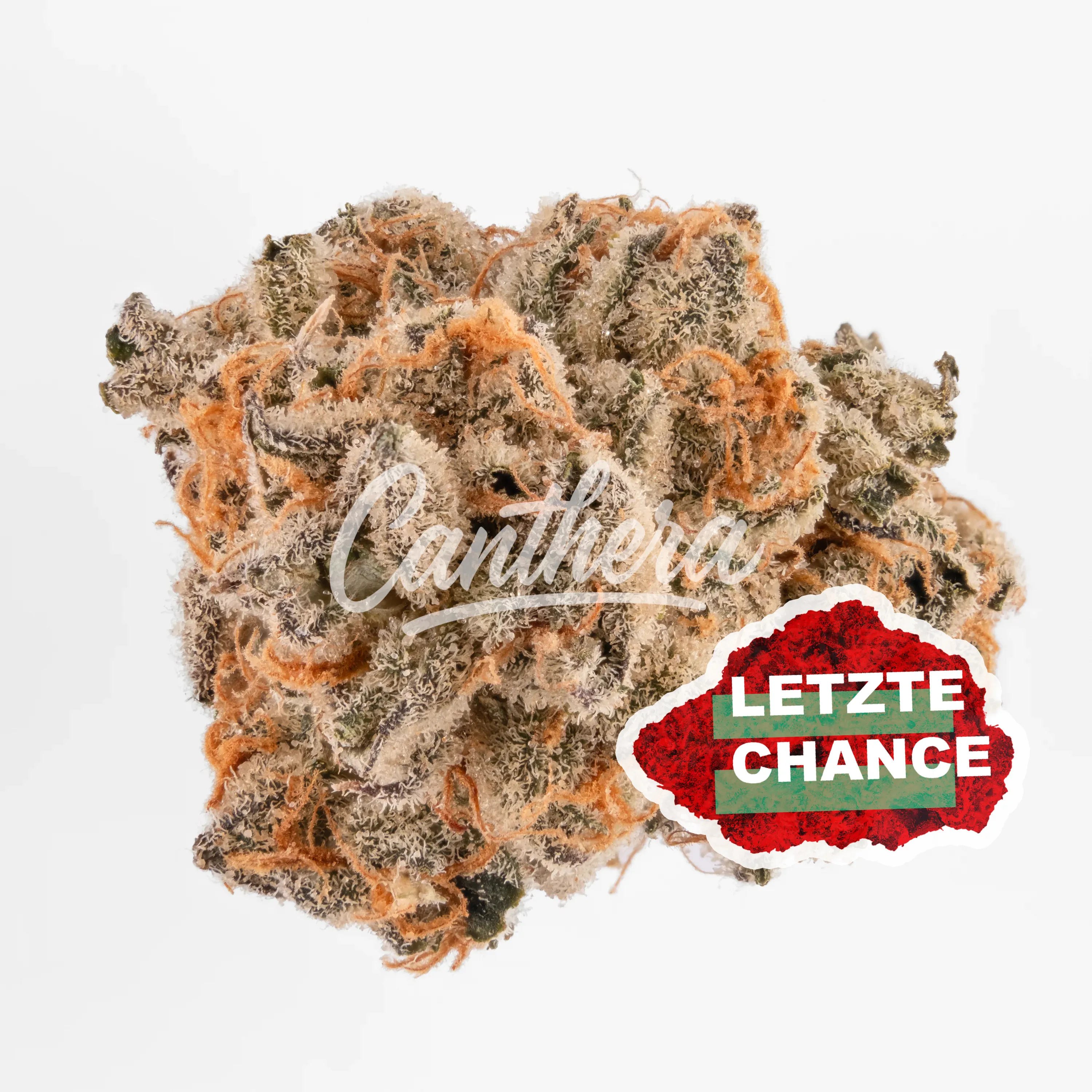 Nimbus Easy 26/1 French Cookies