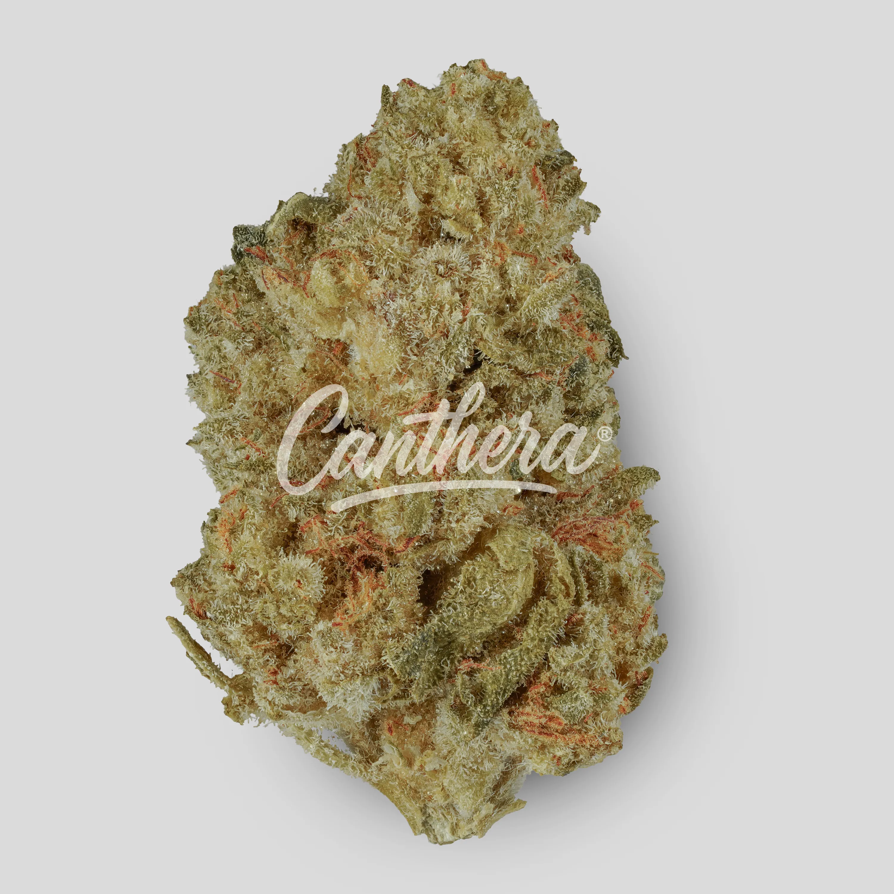 Huala 30/1 CA BKM - Banana Kush Mints Huala 30/1 CA BKM - Banana Kush Mints