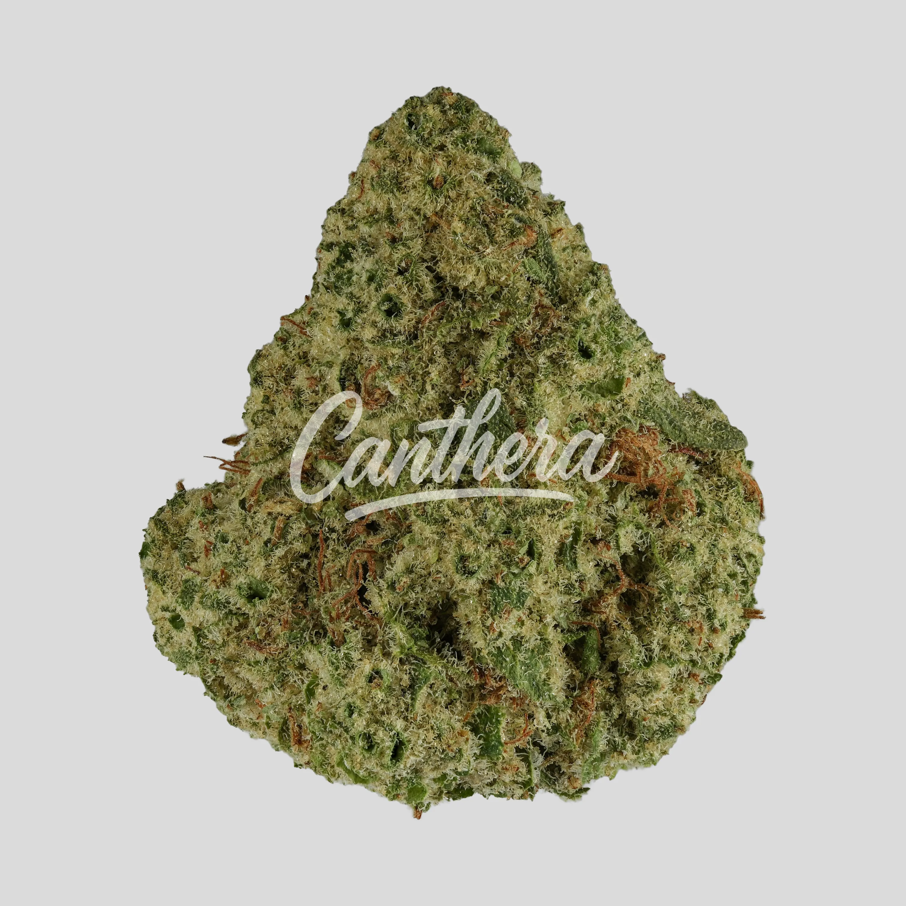 Luana 28/1 CM - Cherry Mints