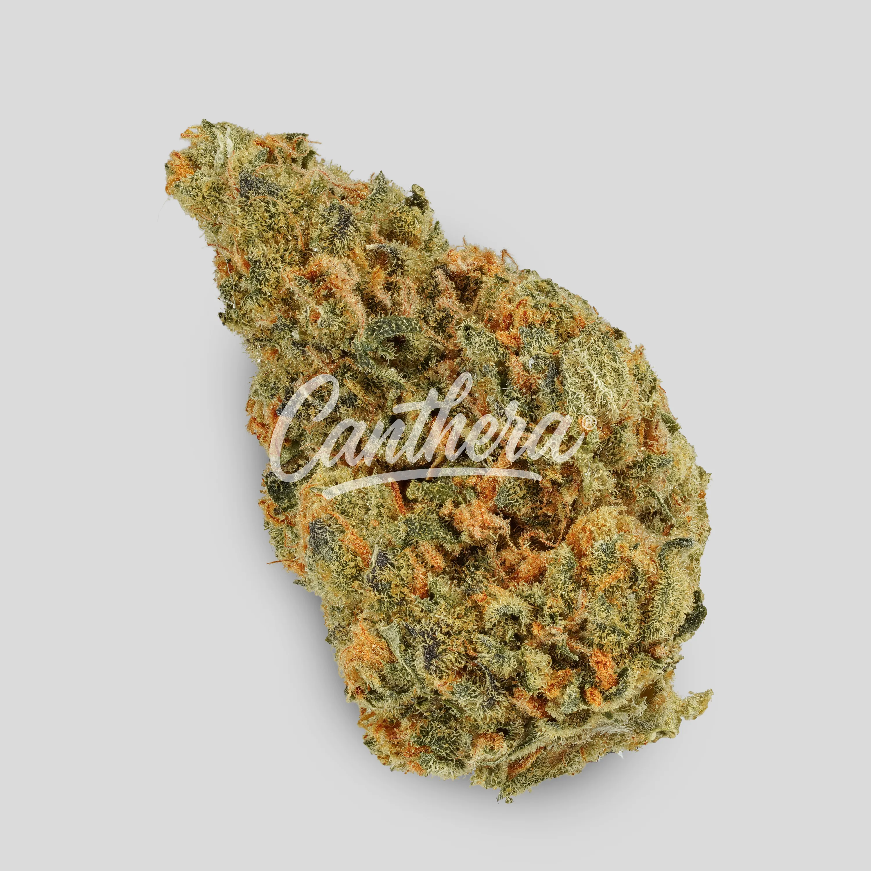 IMC Mids GF THC24 - Grape Fuel IMC Mids GF THC24 - Grape Fuel