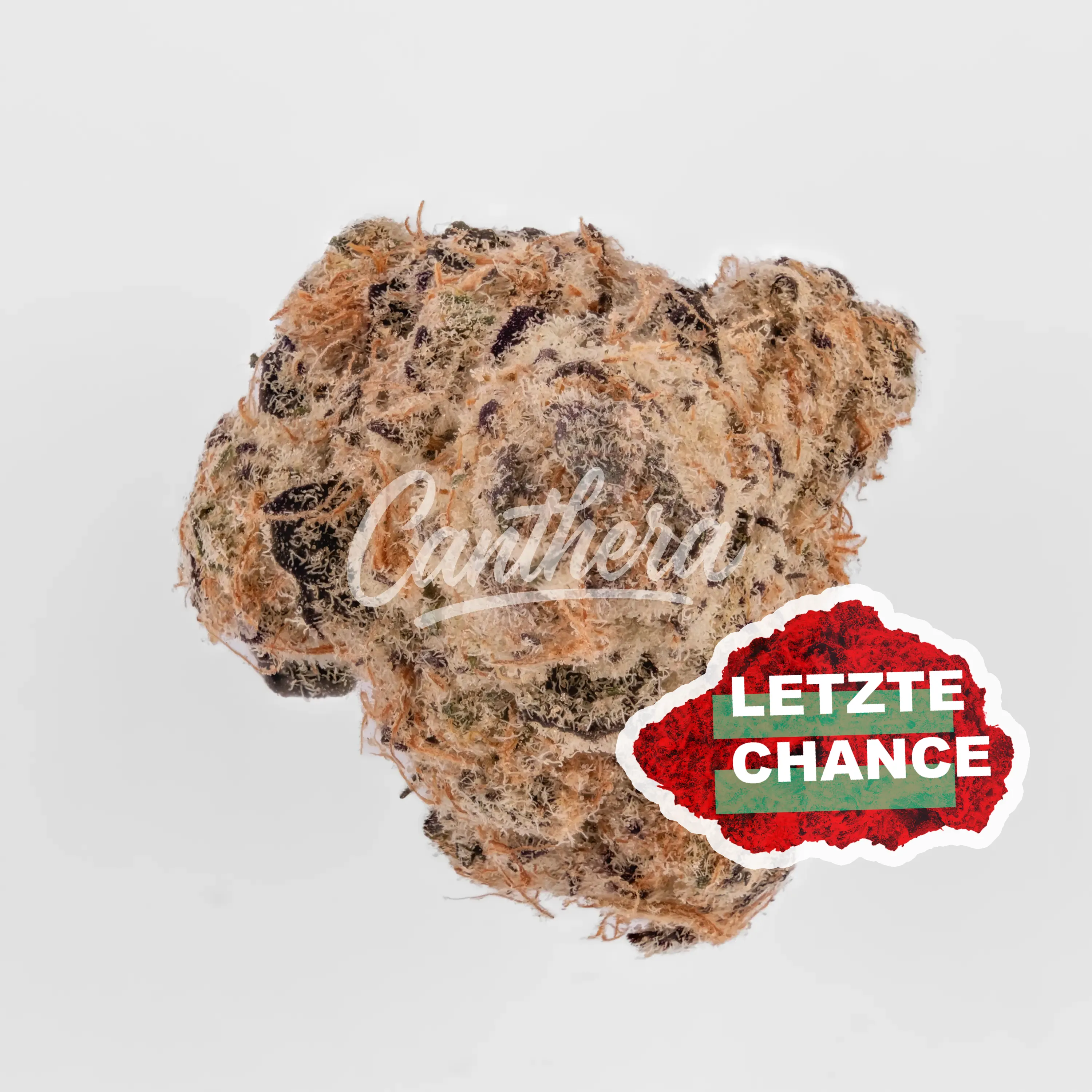 Citizen Labs CR 32/1 - Cali Rain