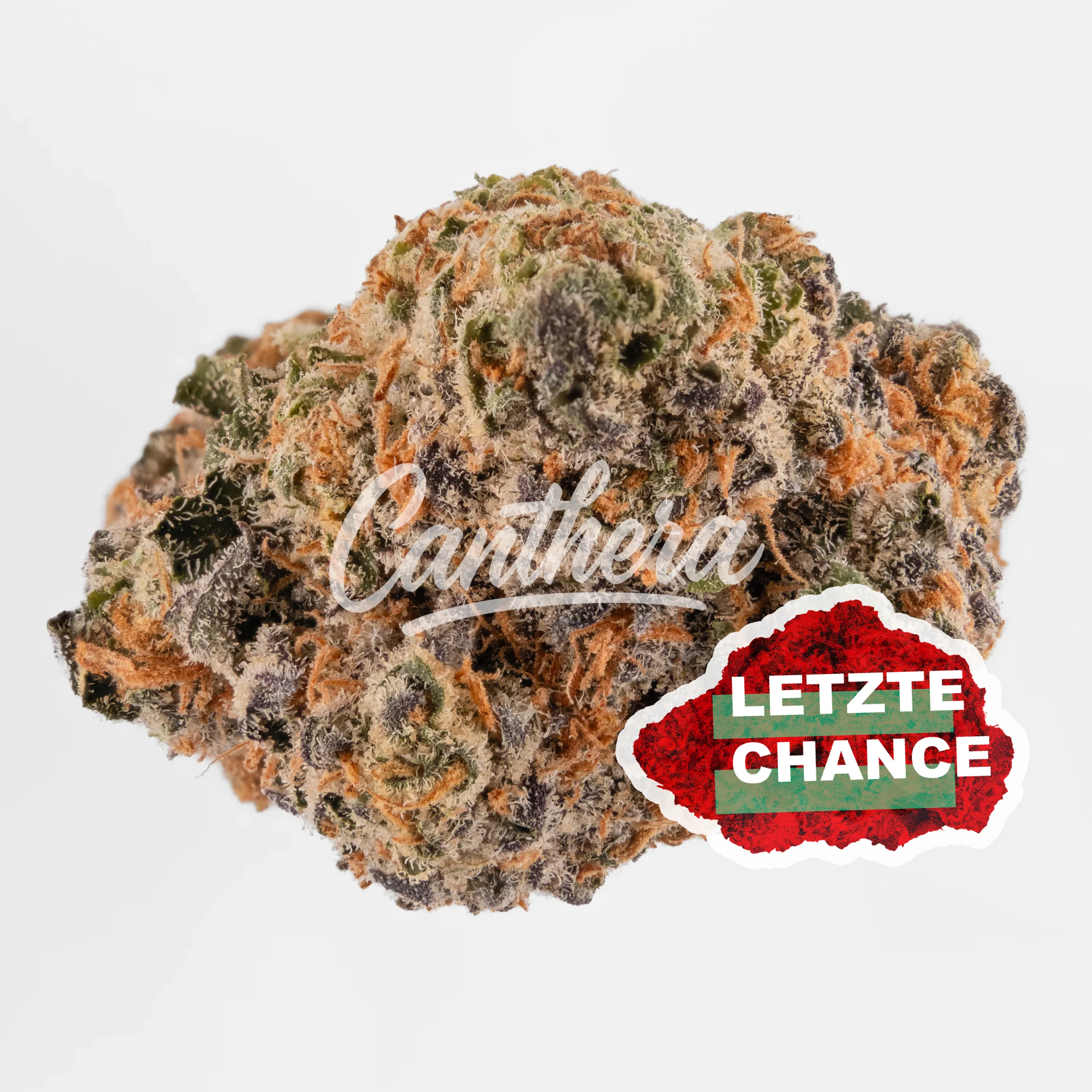 Botanics Orient Bazaar 20/1 - Sherbz