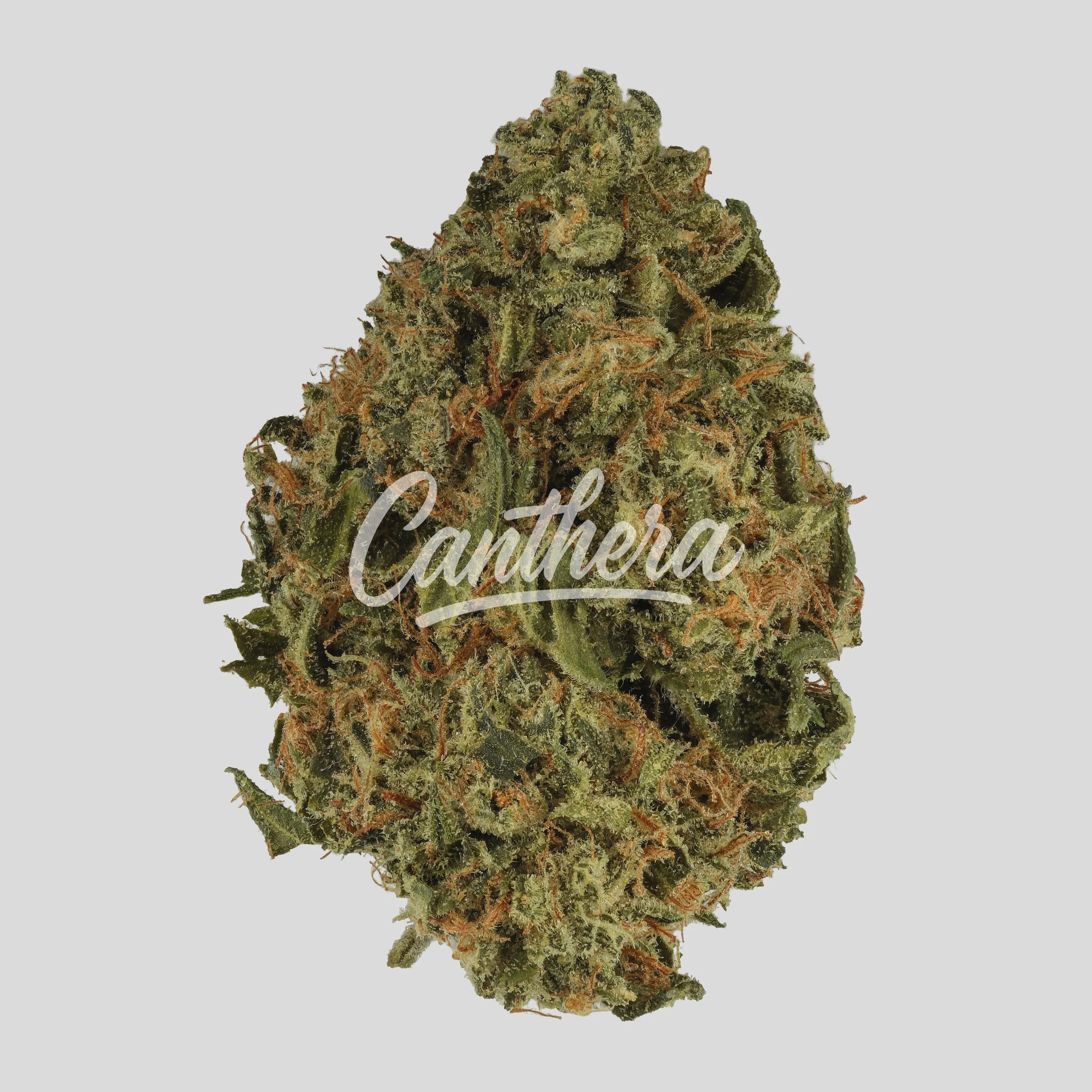 Demecan Core OG 21:01 - OG Kush Demecan Core OG 21:01 - OG Kush