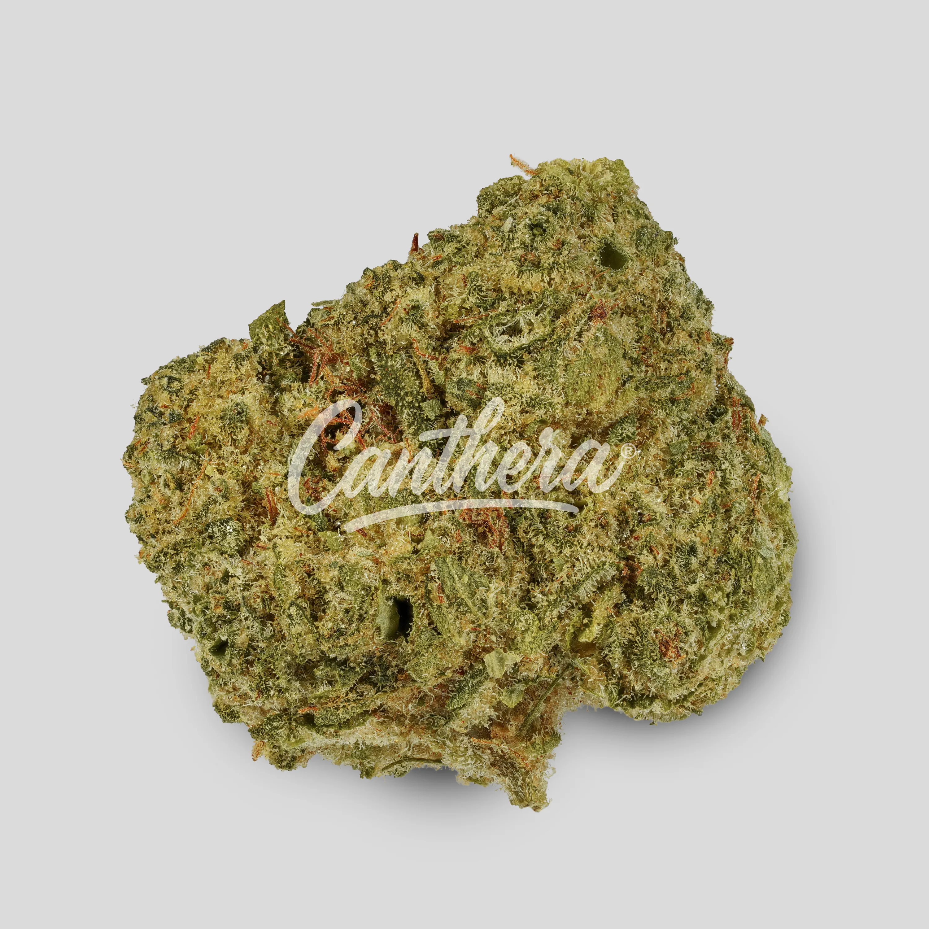Cannamedical CM 32/1 SRK - Sour Kush
