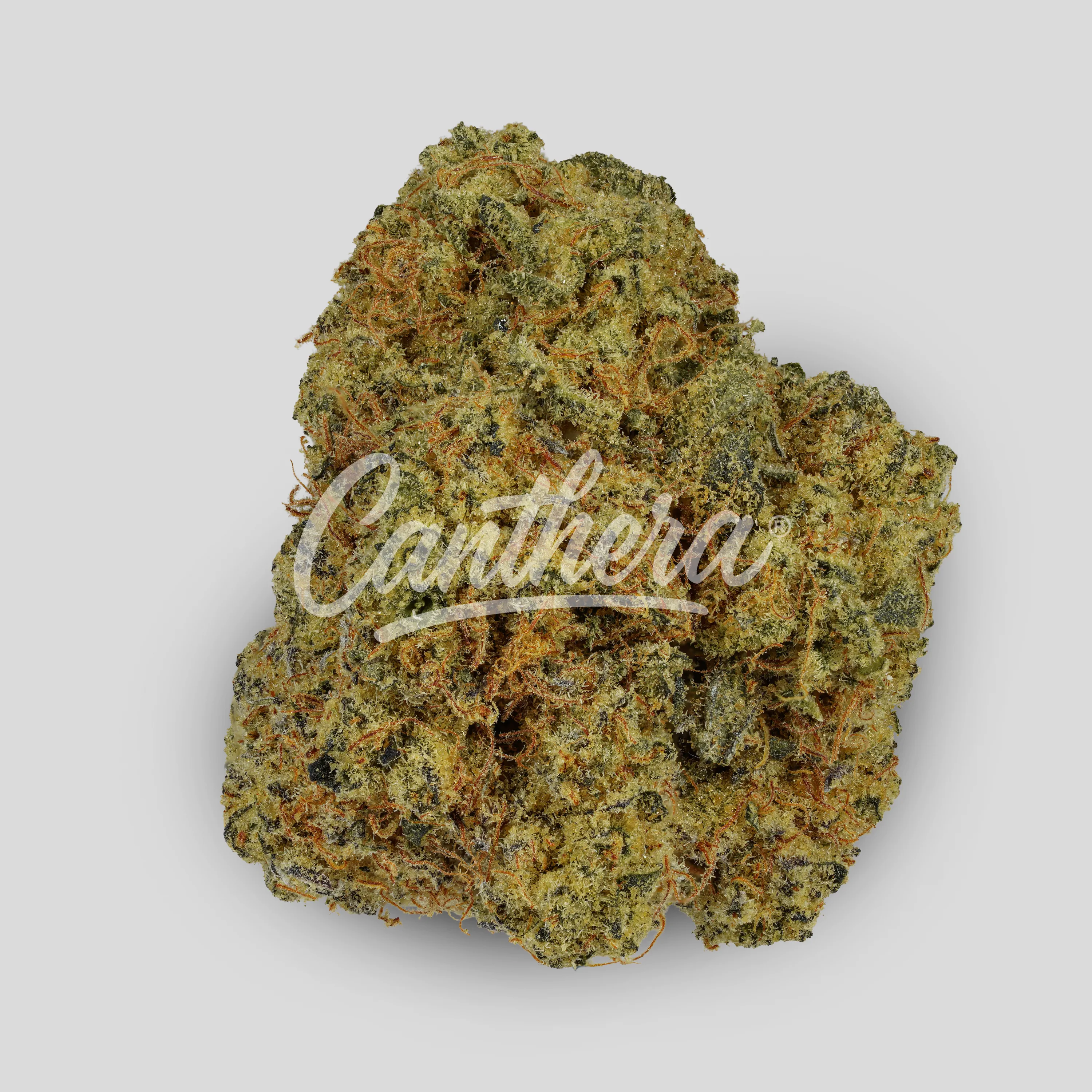 Green Joy CBG 37/1 - Cosmic Bubble Gum Green Joy CBG 37/1 - Cosmic Bubble Gum