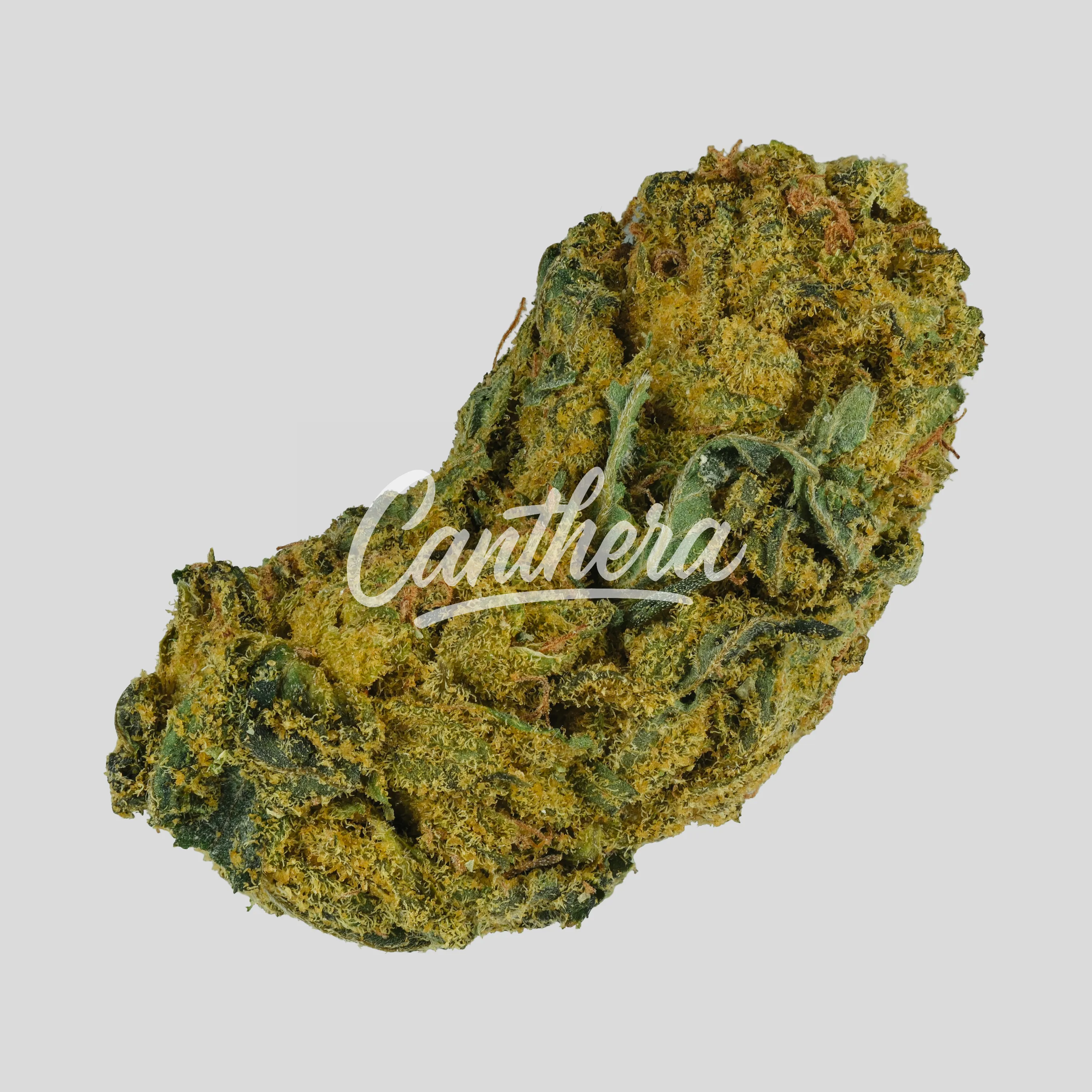 CzechOut 21/1 FLC - Francos Lemon Cheese