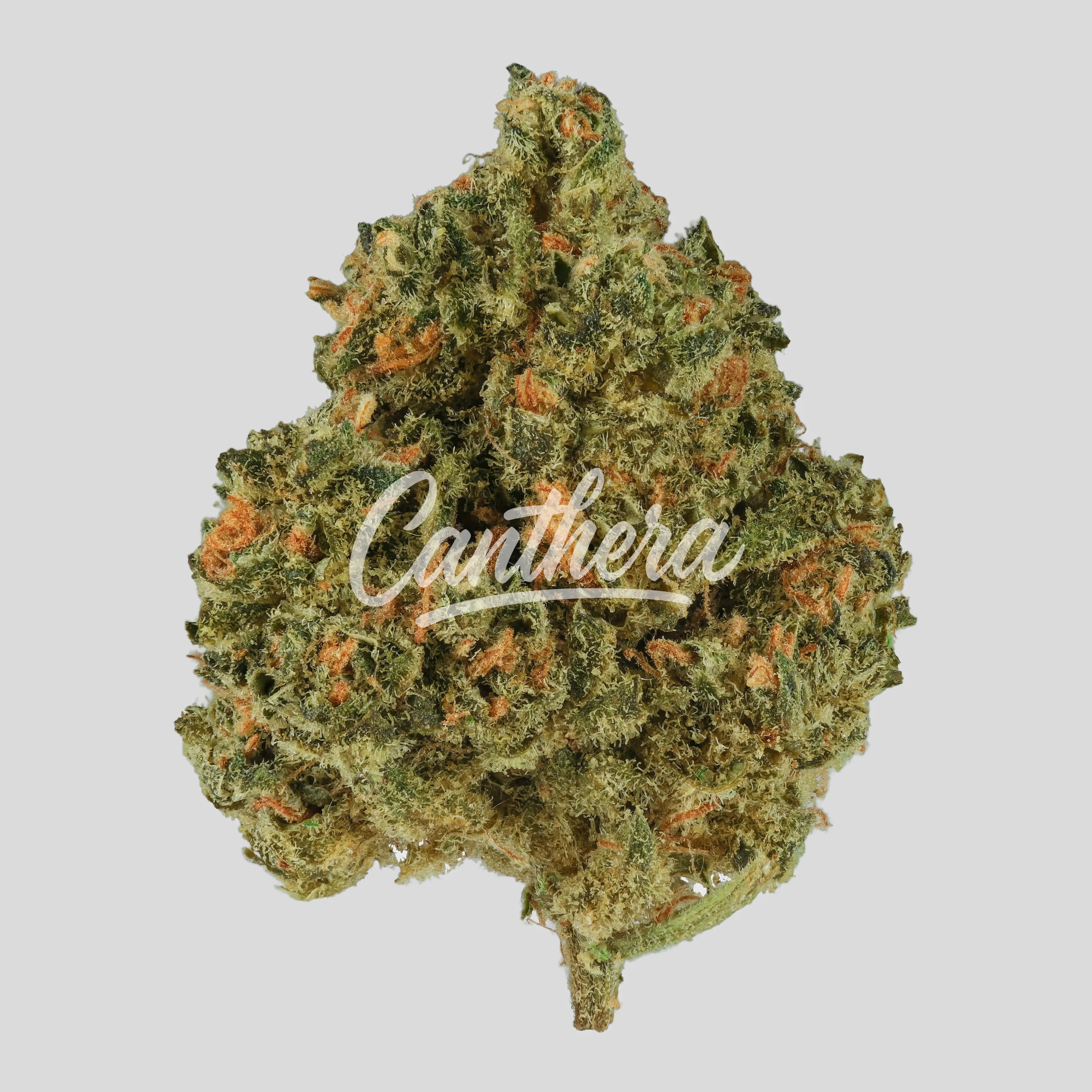 NICE 20/1 APL - Apple Fritter x Oreoz