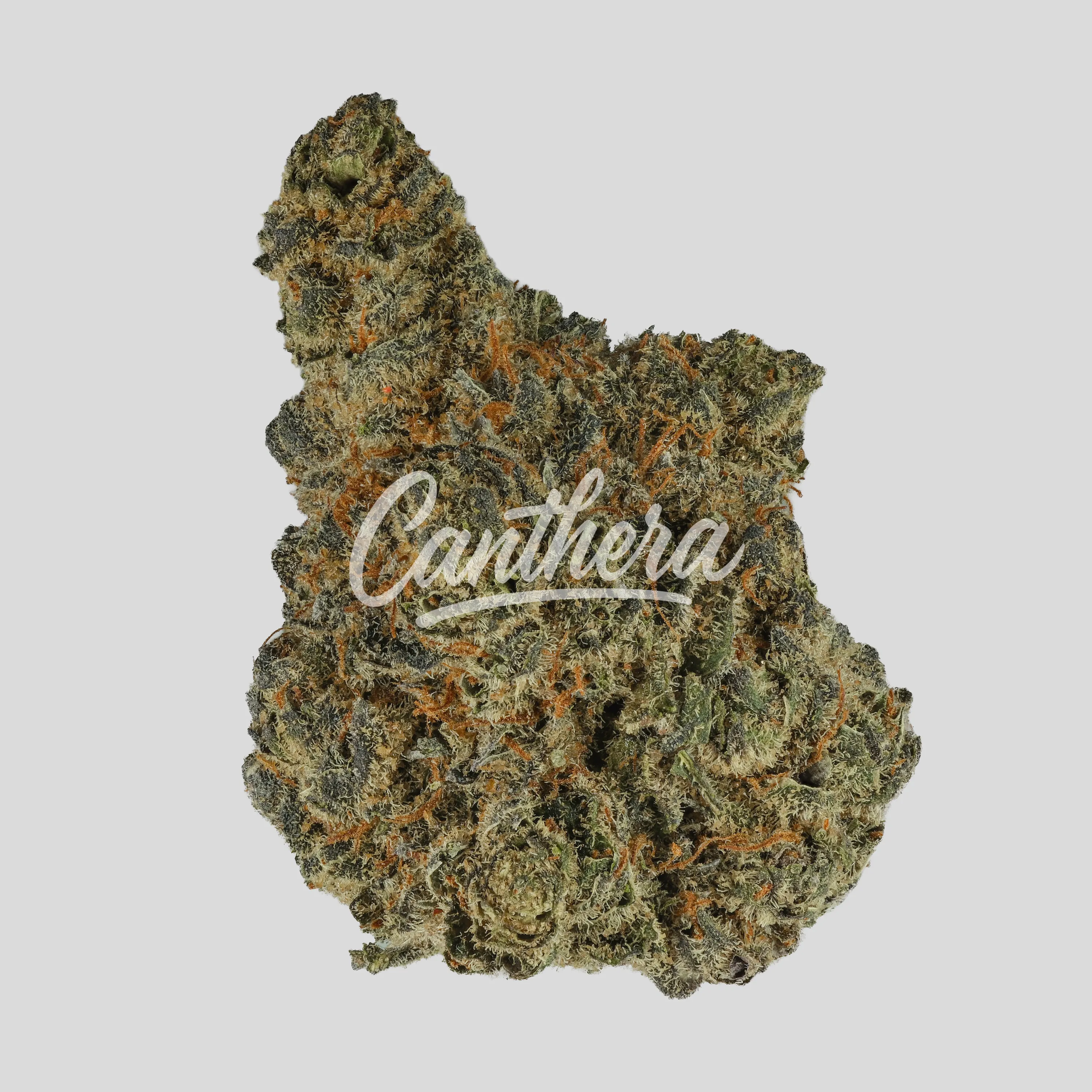187 Cannabisflower SUB THC20 Subba Zafari - Amnesia Haze