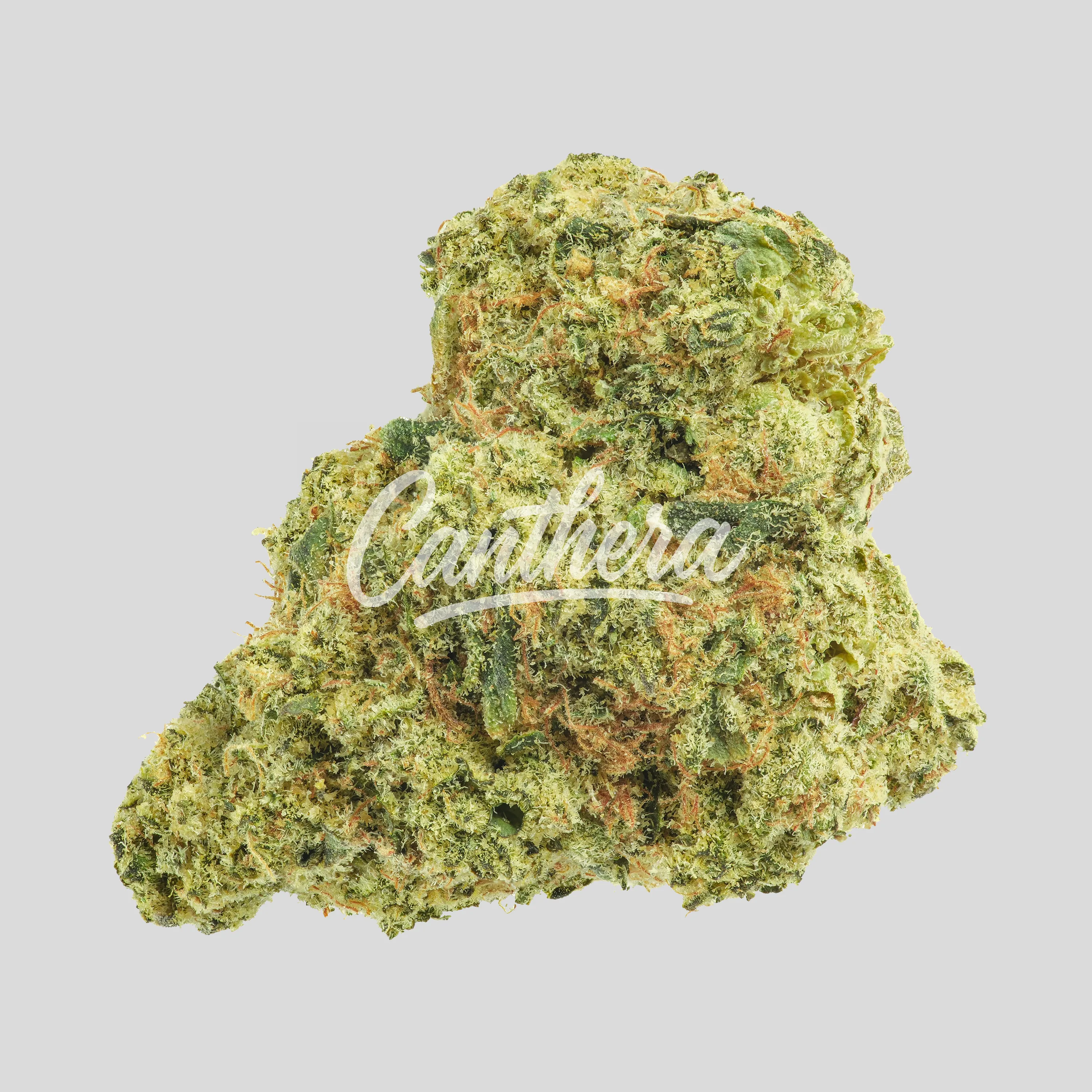 Avaay Signature 27/1 ARC - Apple Rock Candy Avaay Signature 27/1 ARC - Apple Rock Candy