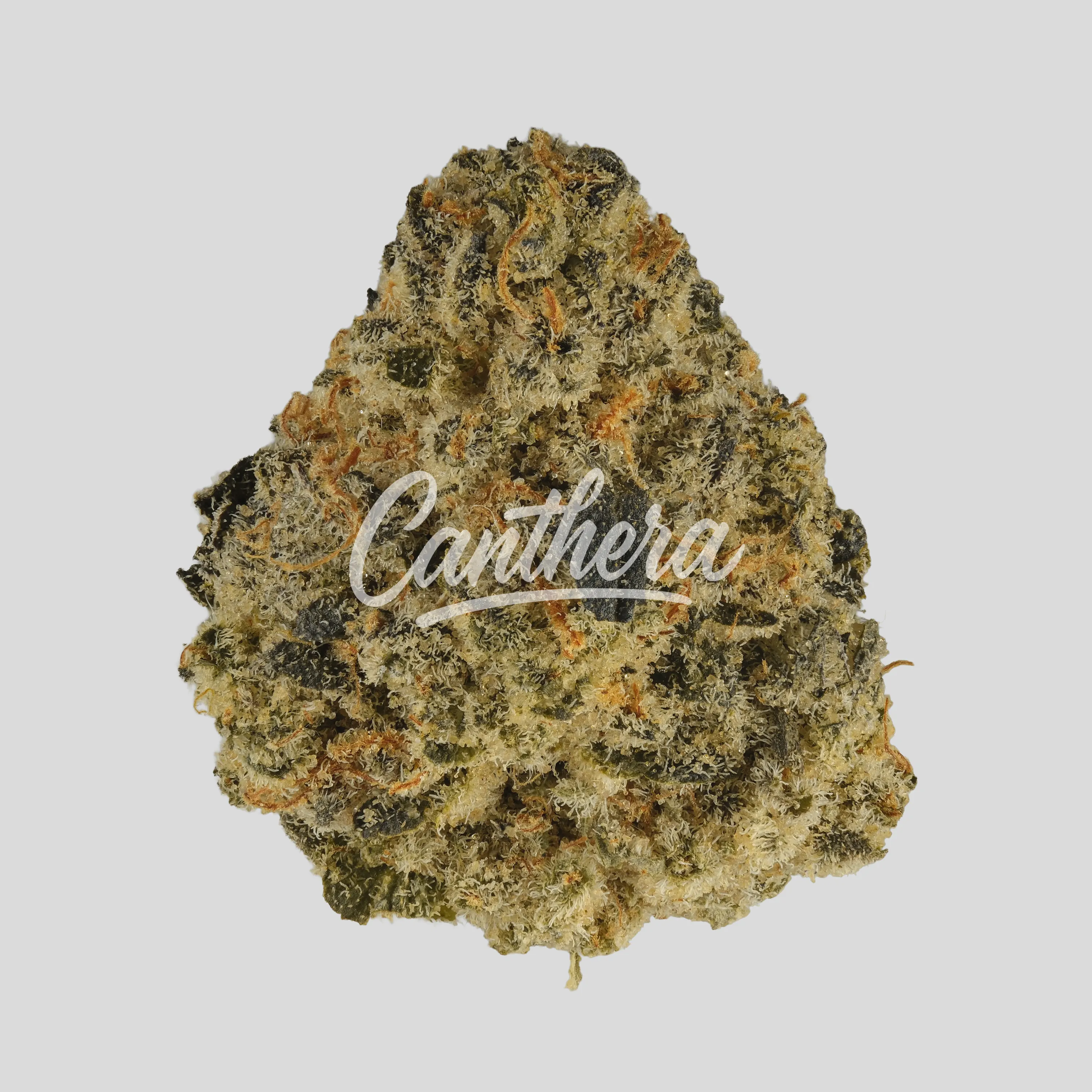 SOMA OG 34/1 PF CAP Junky SOMA OG 34/1 PF CAP Junky