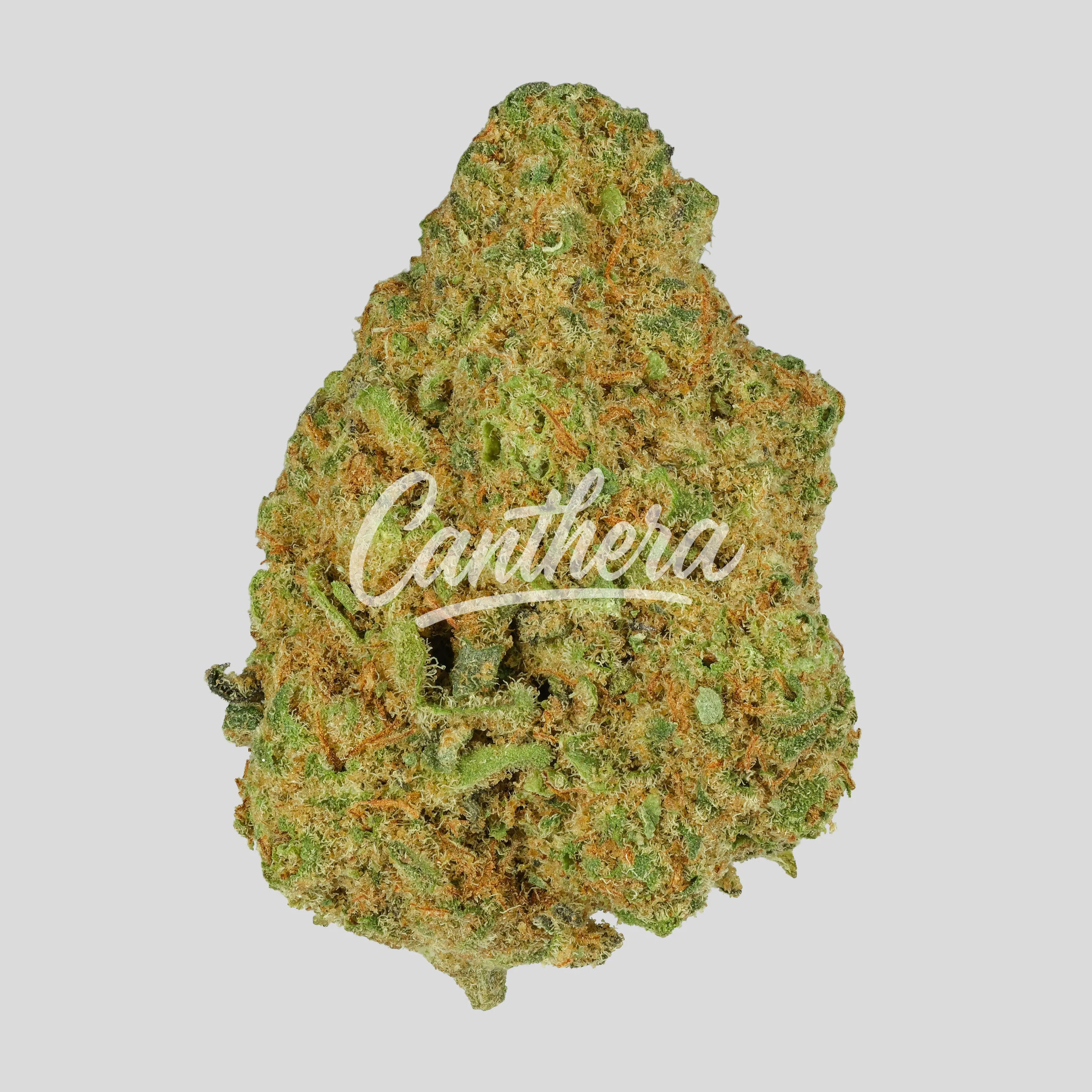 Remexian 24/1 PRT MCR - Motor Crasher Remexian 24/1 PRT MCR - Motor Crasher