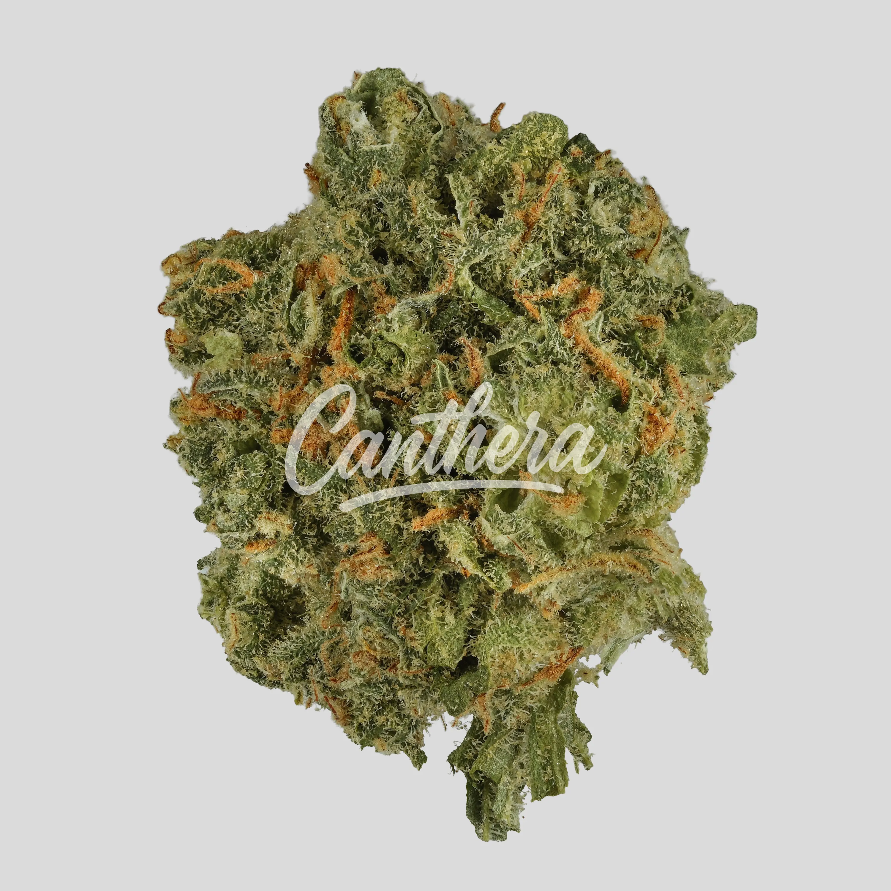 Bedrocan Cannabis Flos 25/1 - Afina