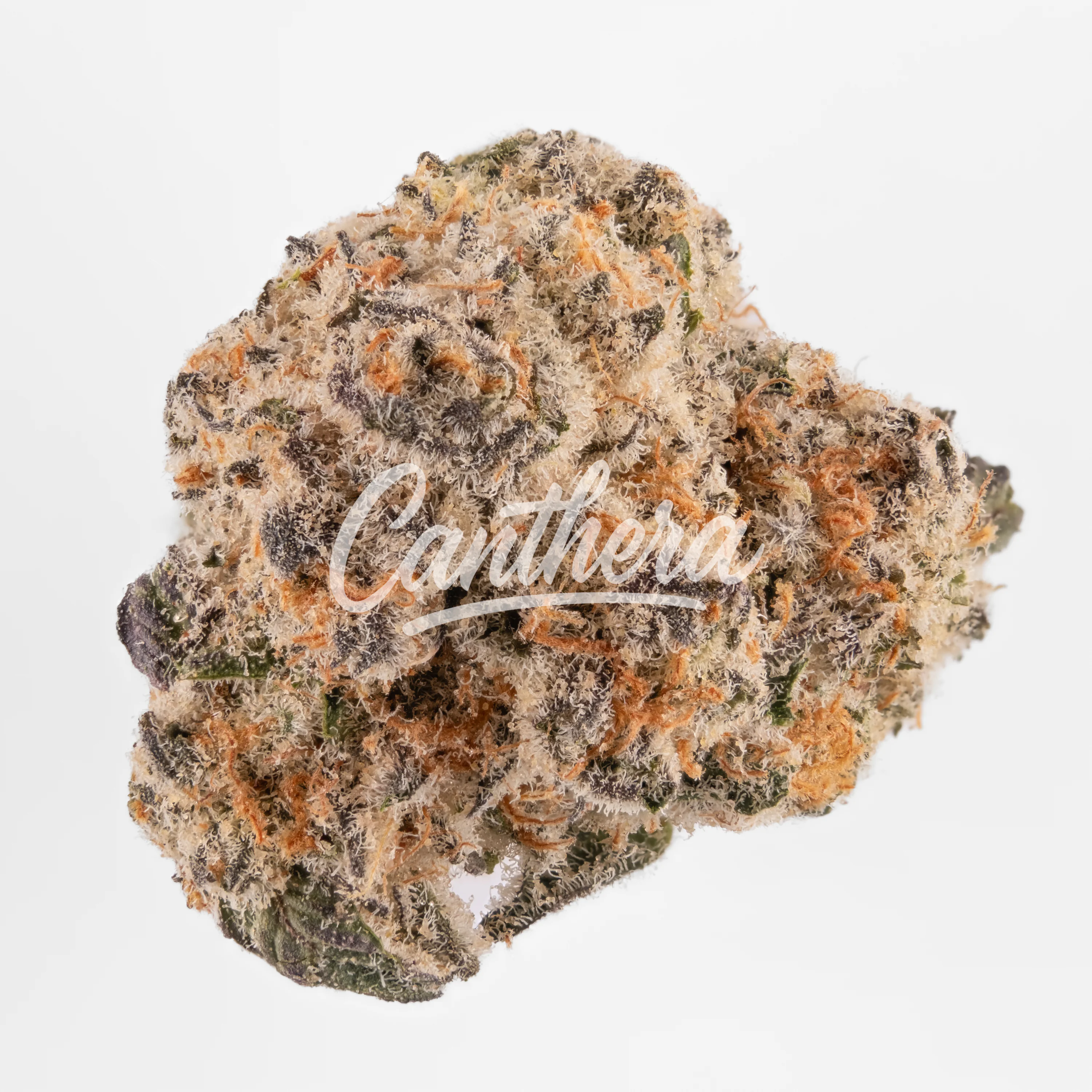 Ceres Cap J 25/1 Cap Junky