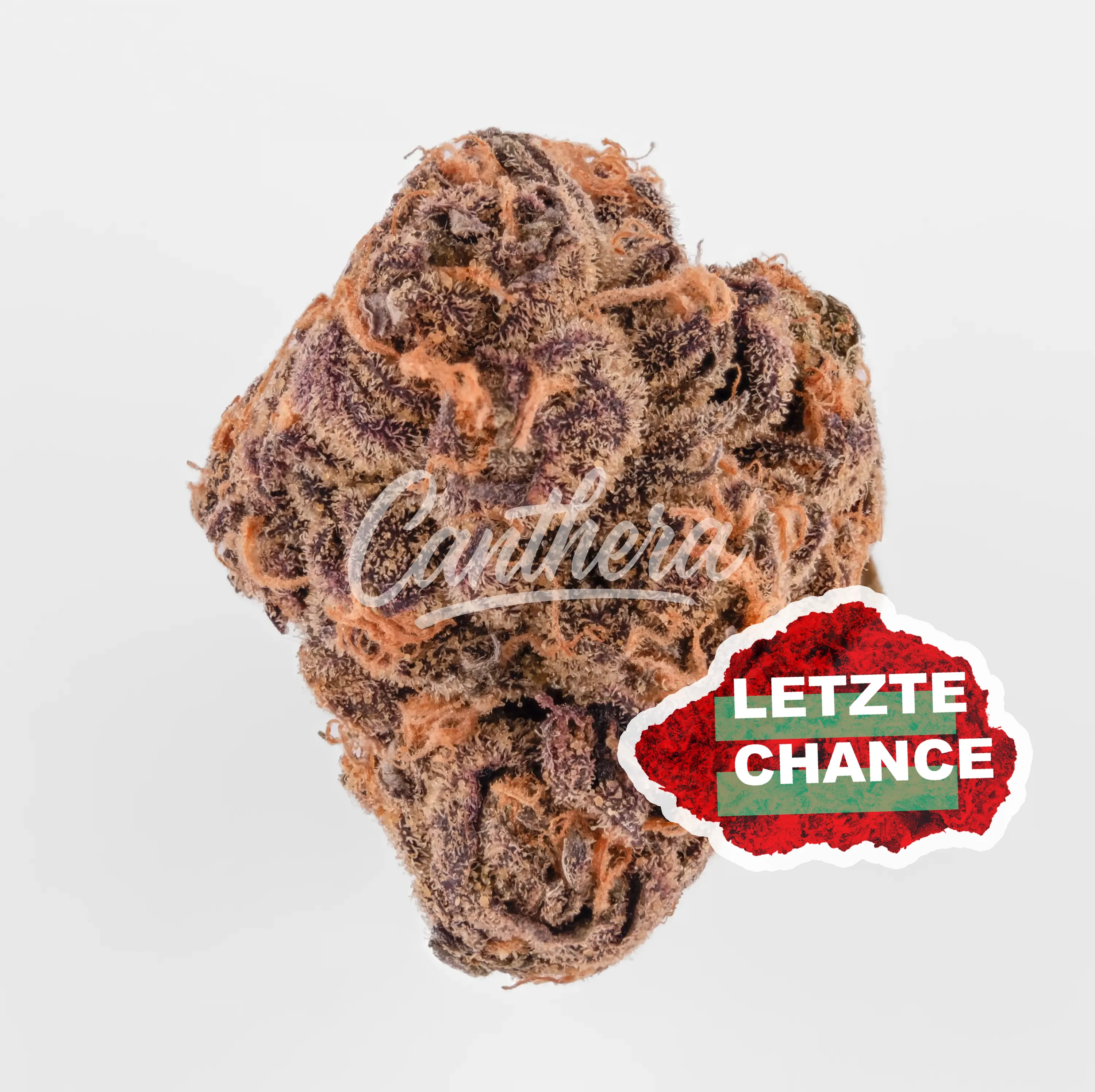 Cookies 22/1 A&B - Apples & Bananas