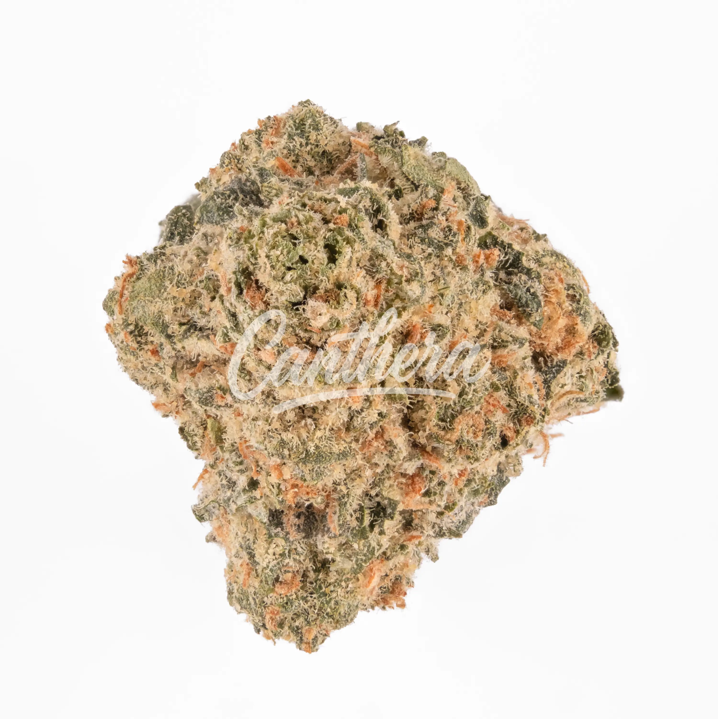 27/1 Amici AS - Atomic Sour Grapefruit 27/1 Amici AS - Atomic Sour Grapefruit