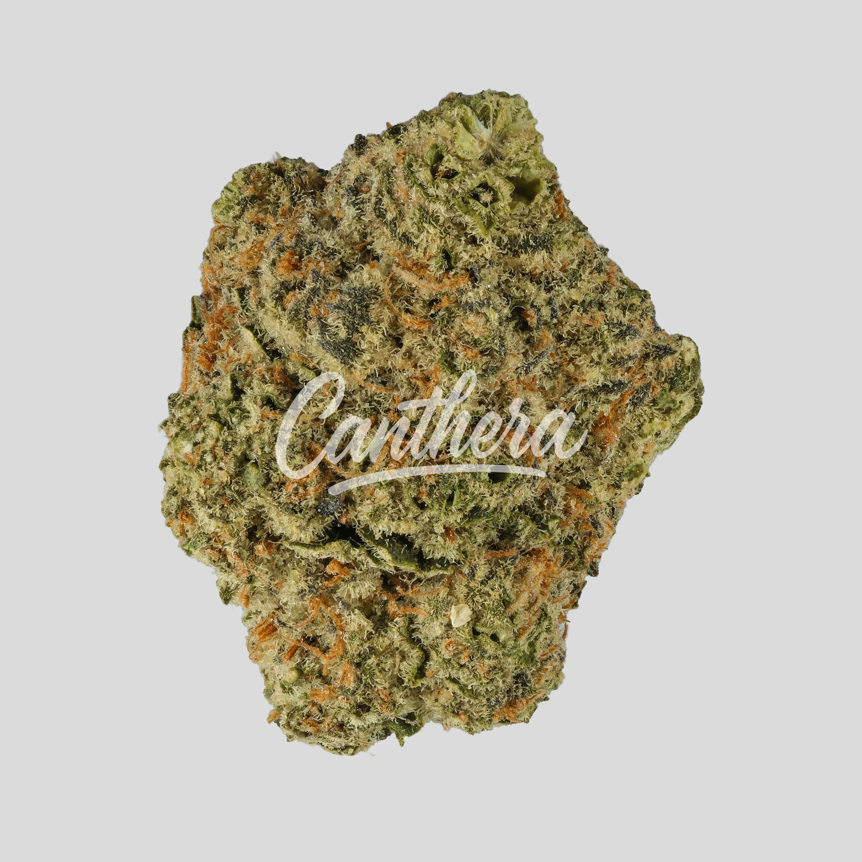 enua 25/1 COZ CA - Cookies OZ