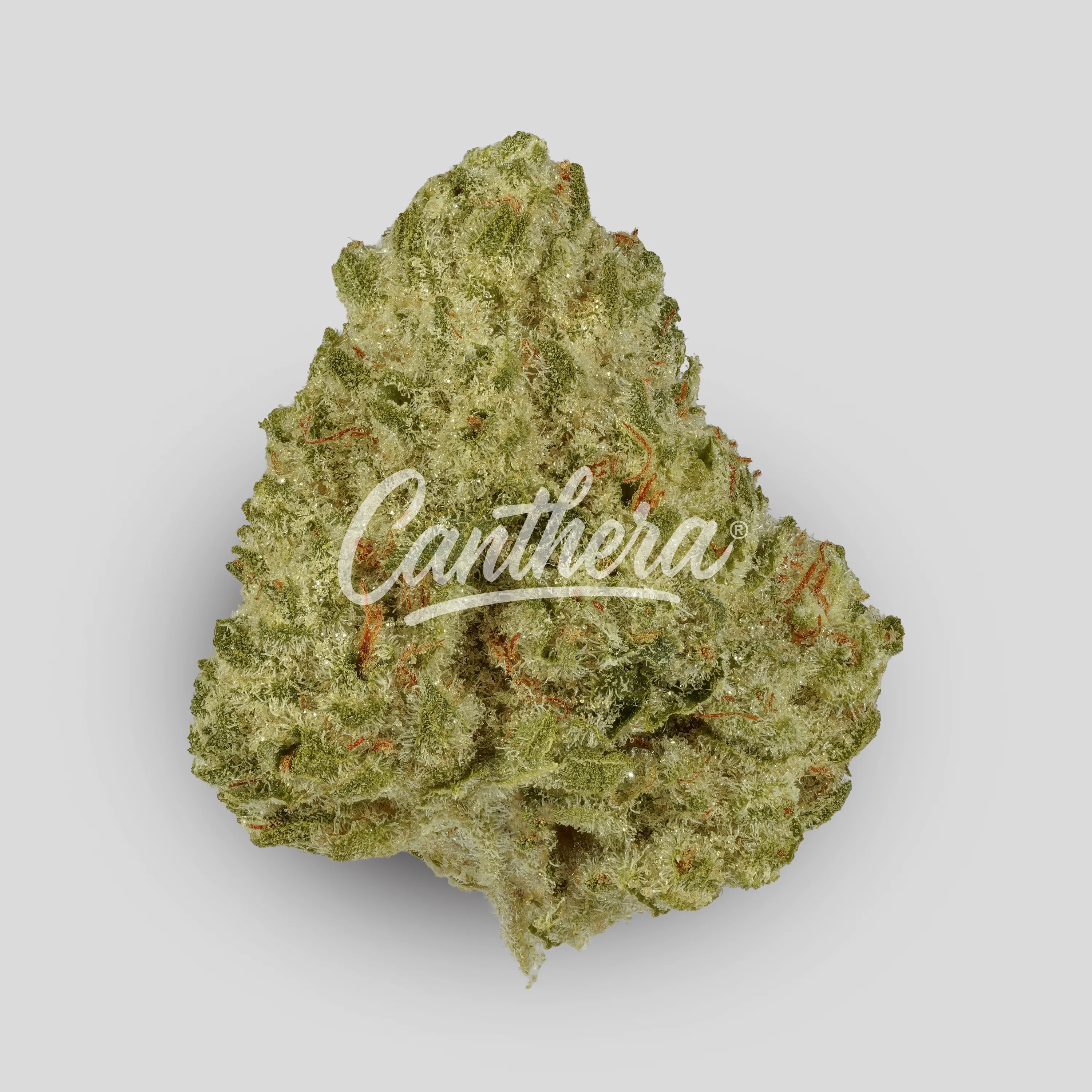 Slouu 27/1 PS3 CA GCB God Cherry Bud