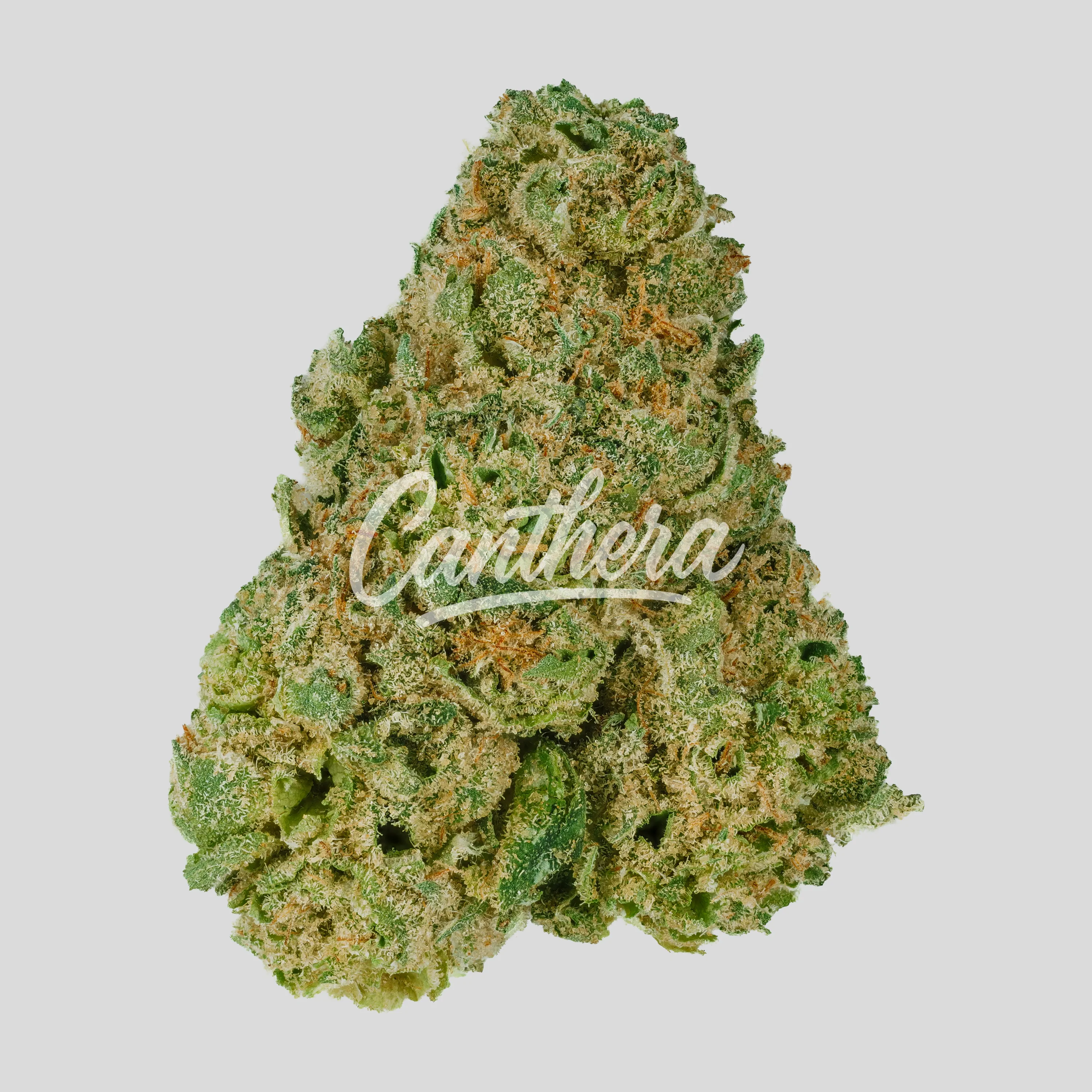 Remexian 30/1 LPP - Lemon Pepper Punch