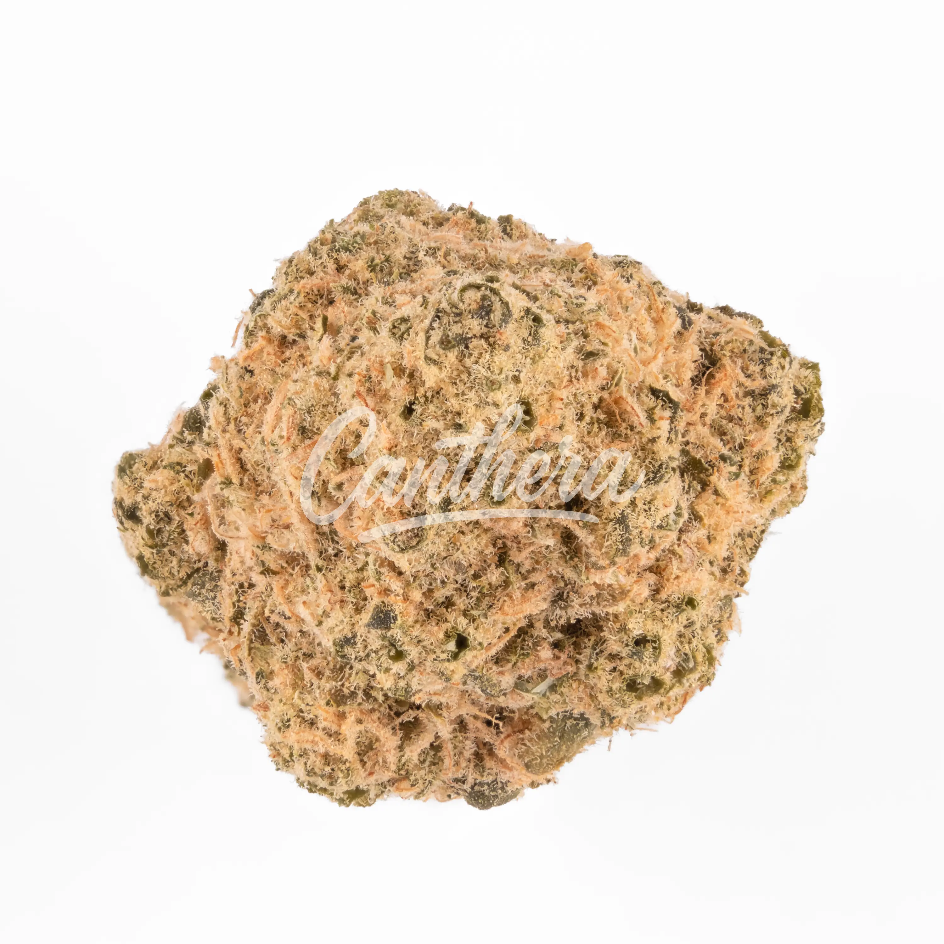 Demecan Core Solar 21/1 - Black Russian Demecan Core Solar 21/1 - Black Russian