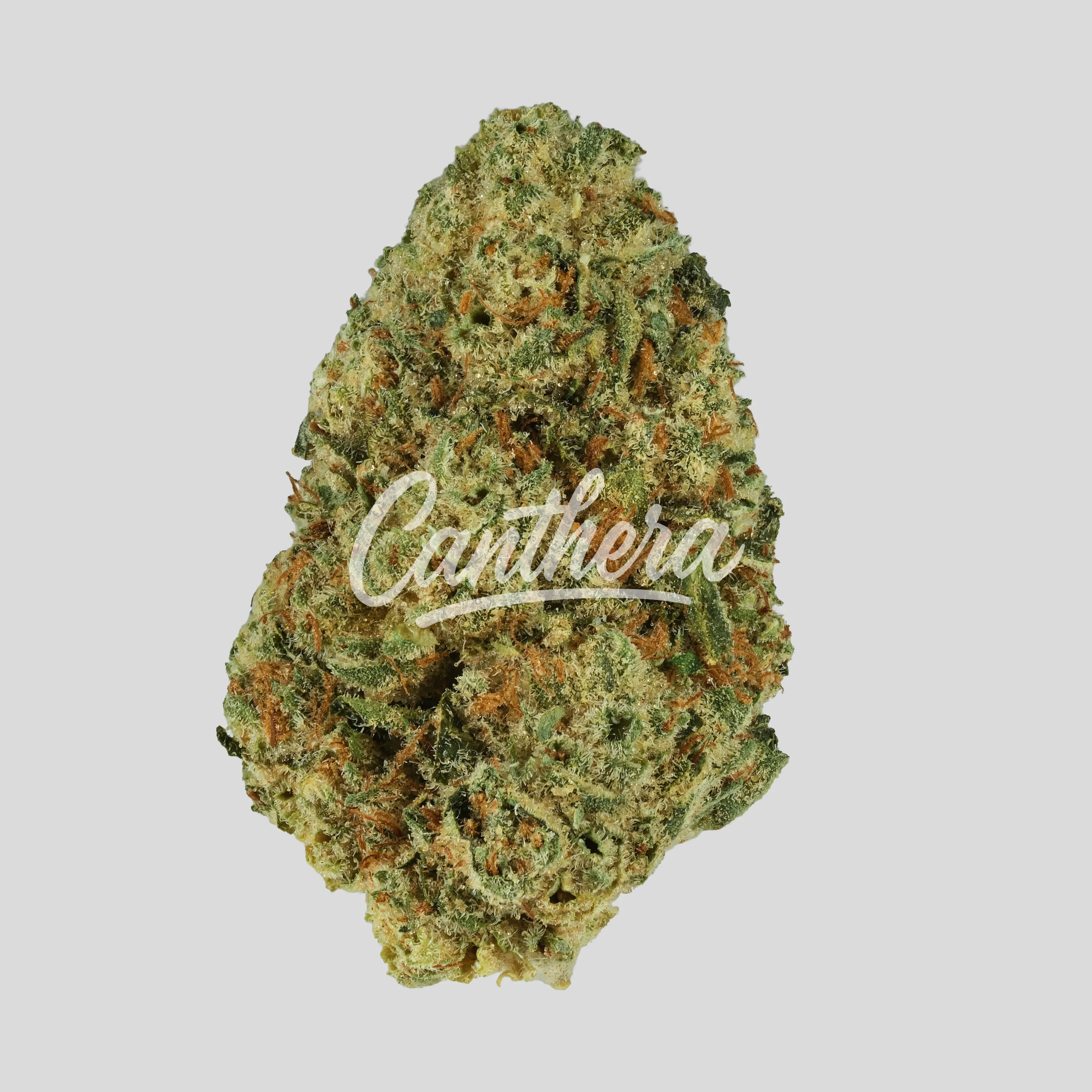 Luana 23/1 Donny B - Bunatic