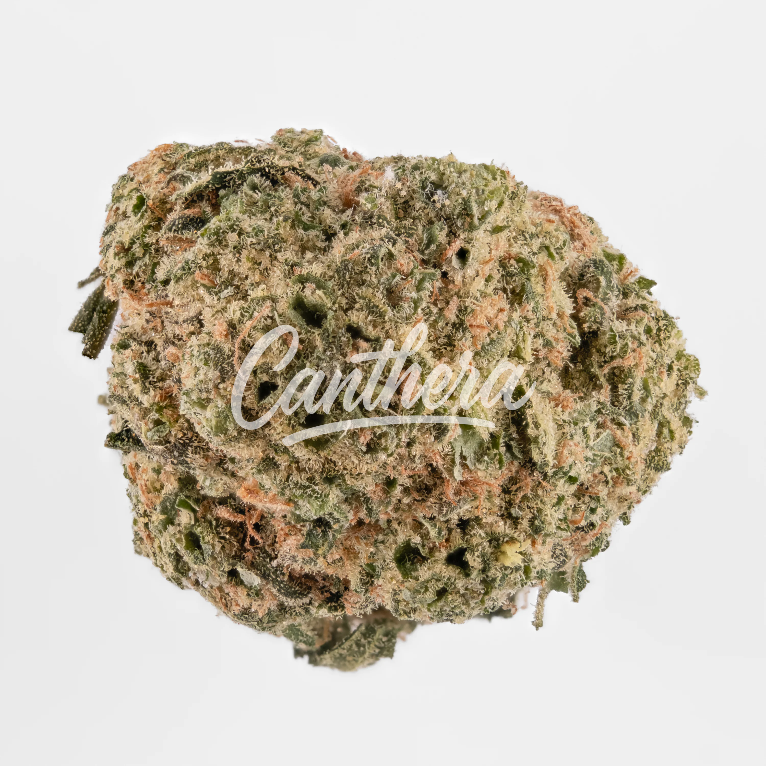 enua 30/1 LHZ CA - Lemonade Haze enua 30/1 LHZ CA - Lemonade Haze