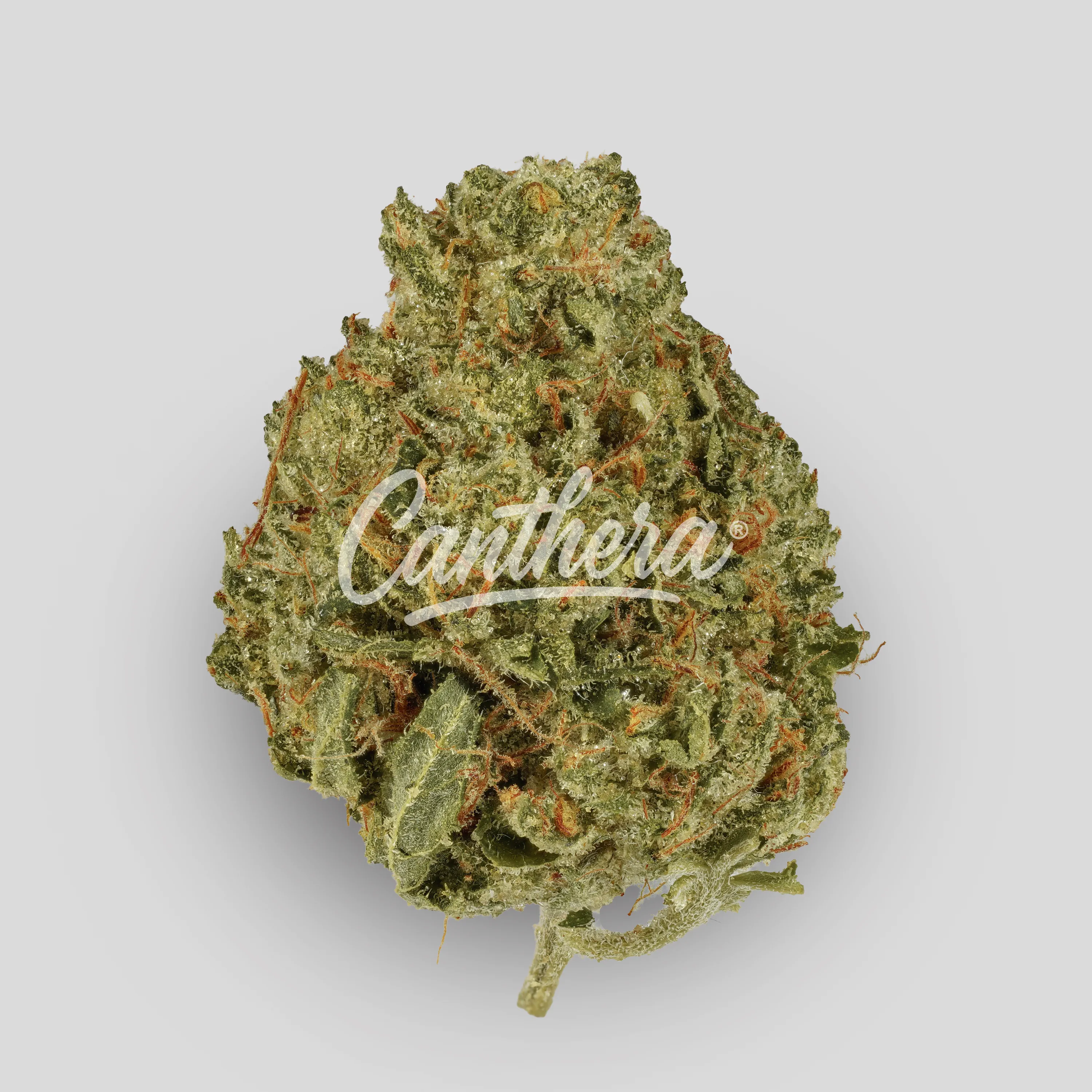 Enua 27/1 PS3 PNK - Pink Kush
