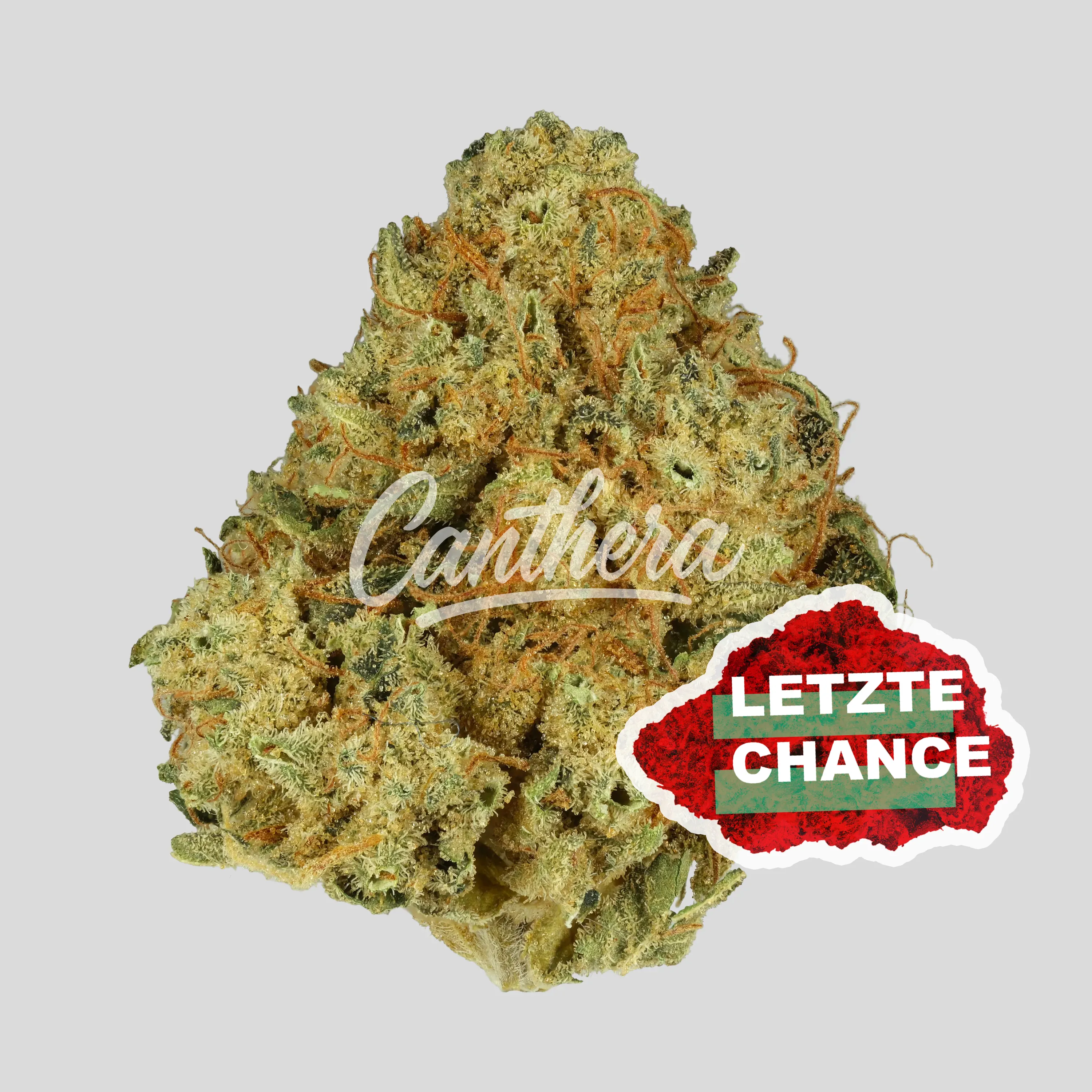 Cannamedical Hybrid classic DK - Ghost Train Haze