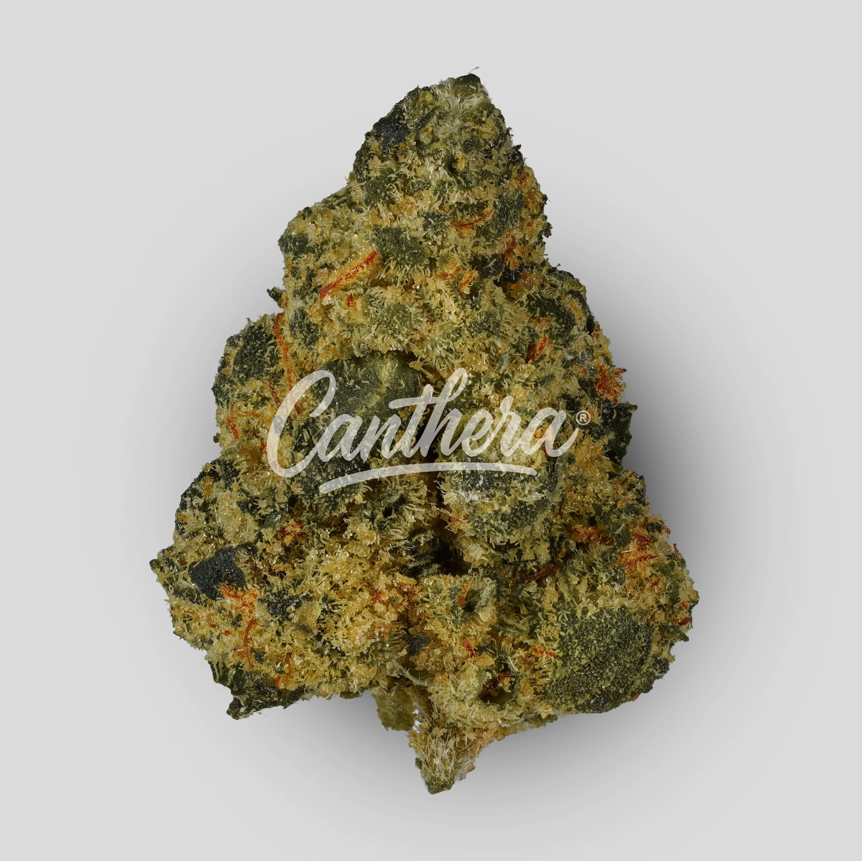 LIT 35/1 MKU - Master Kush LIT 35/1 MKU - Master Kush