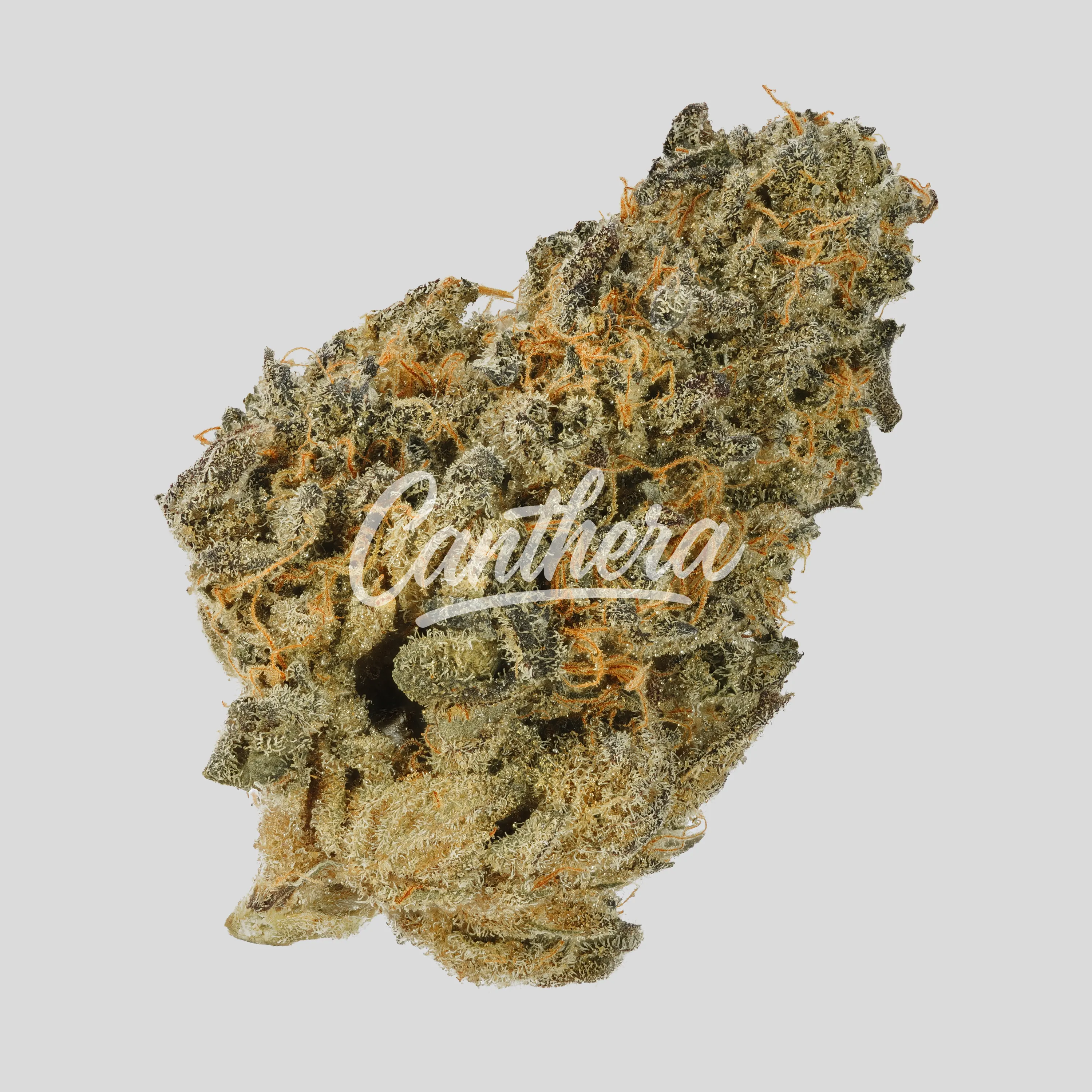 Demecan Craft Electron 28:01 - Gelato OG Kush