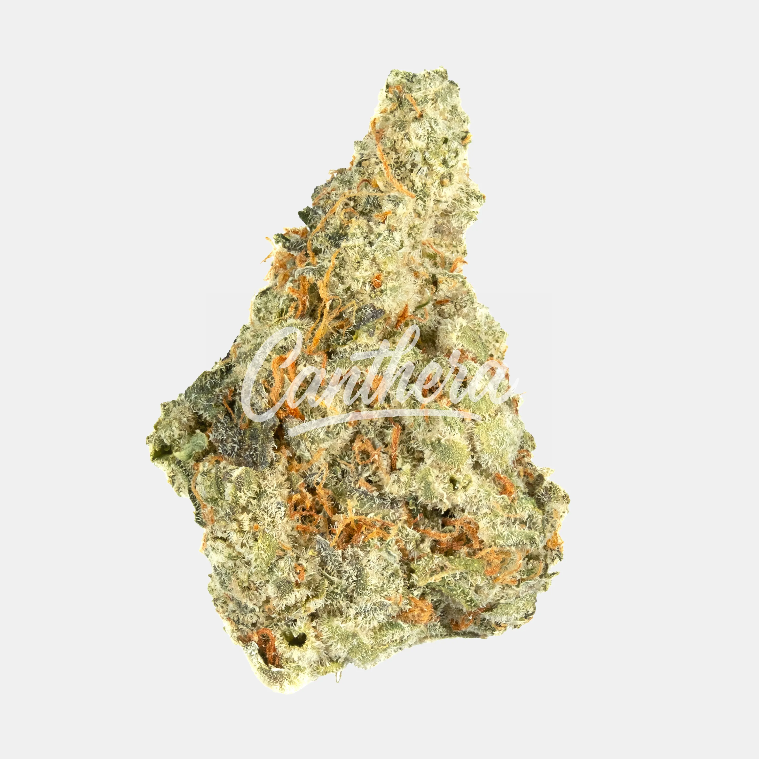 420 Evolution 30/1 CA ICC - Ice Cream Cake x Kush Mints 420 Evolution 30/1 CA ICC - Ice Cream Cake x Kush Mints