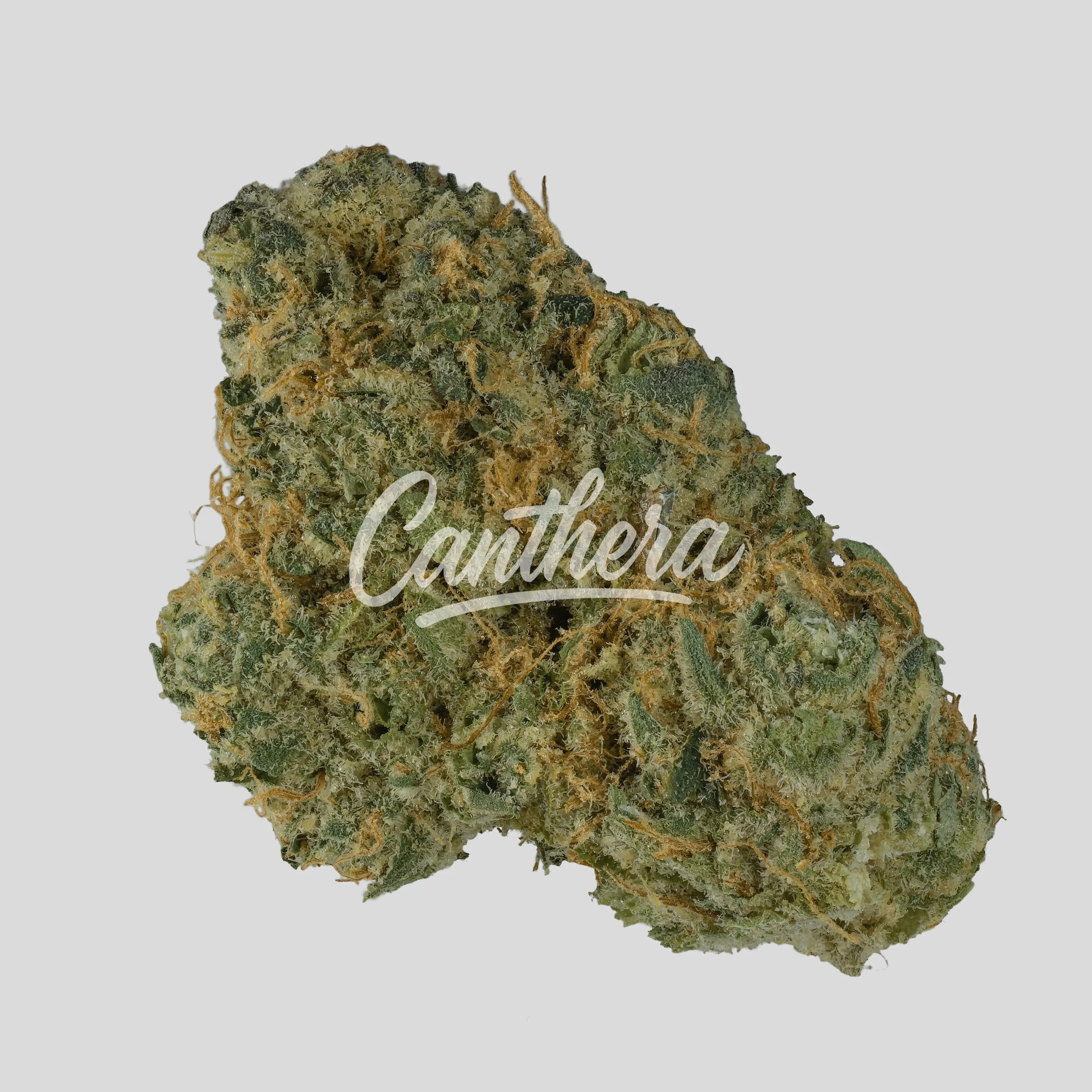 avaay Signature 34/1 OGC - Ocean Grown Cookies avaay Signature 34/1 OGC - Ocean Grown Cookies